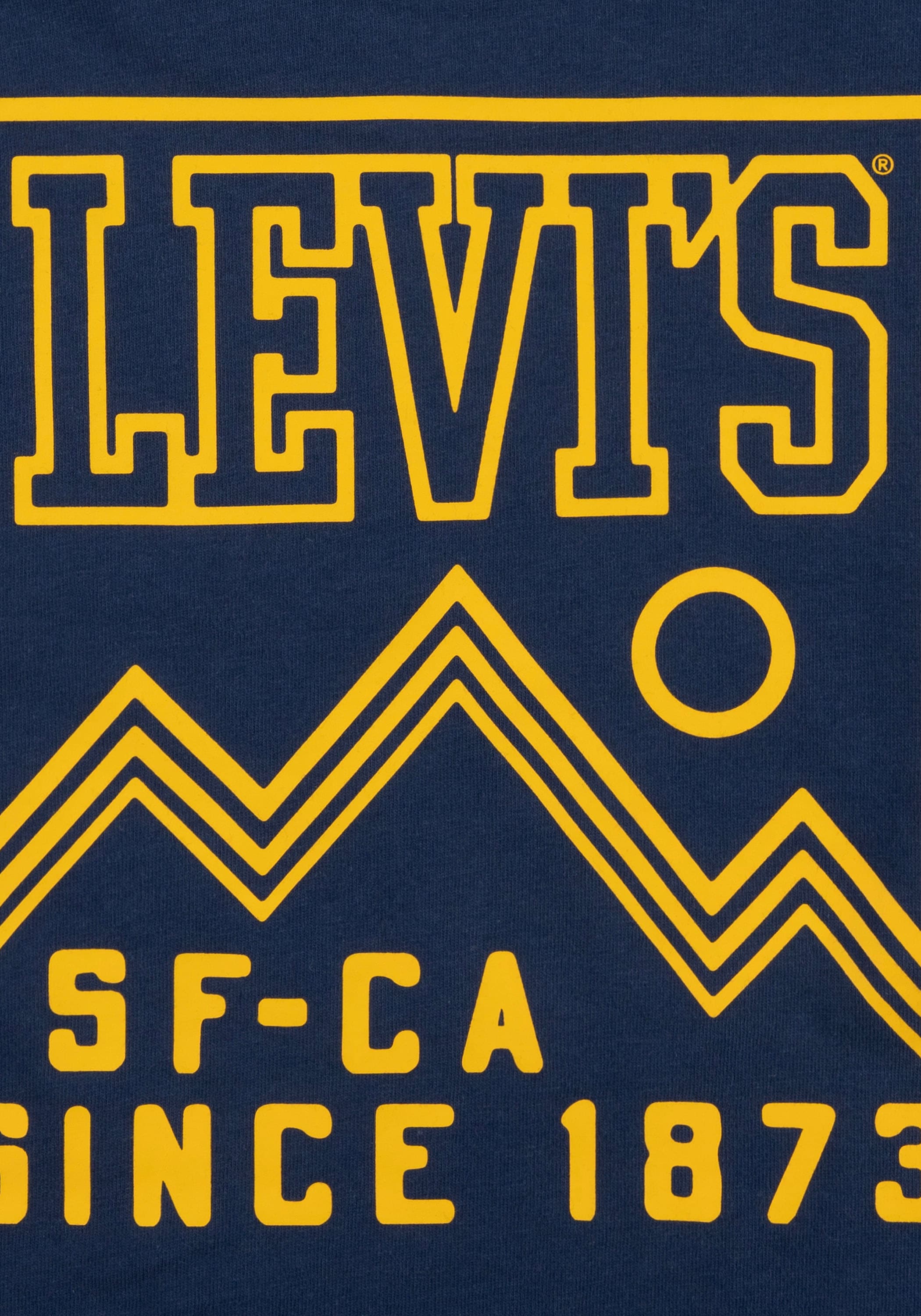 Levi's® Kids Langarmshirt, mit Rückenprint for BOYS