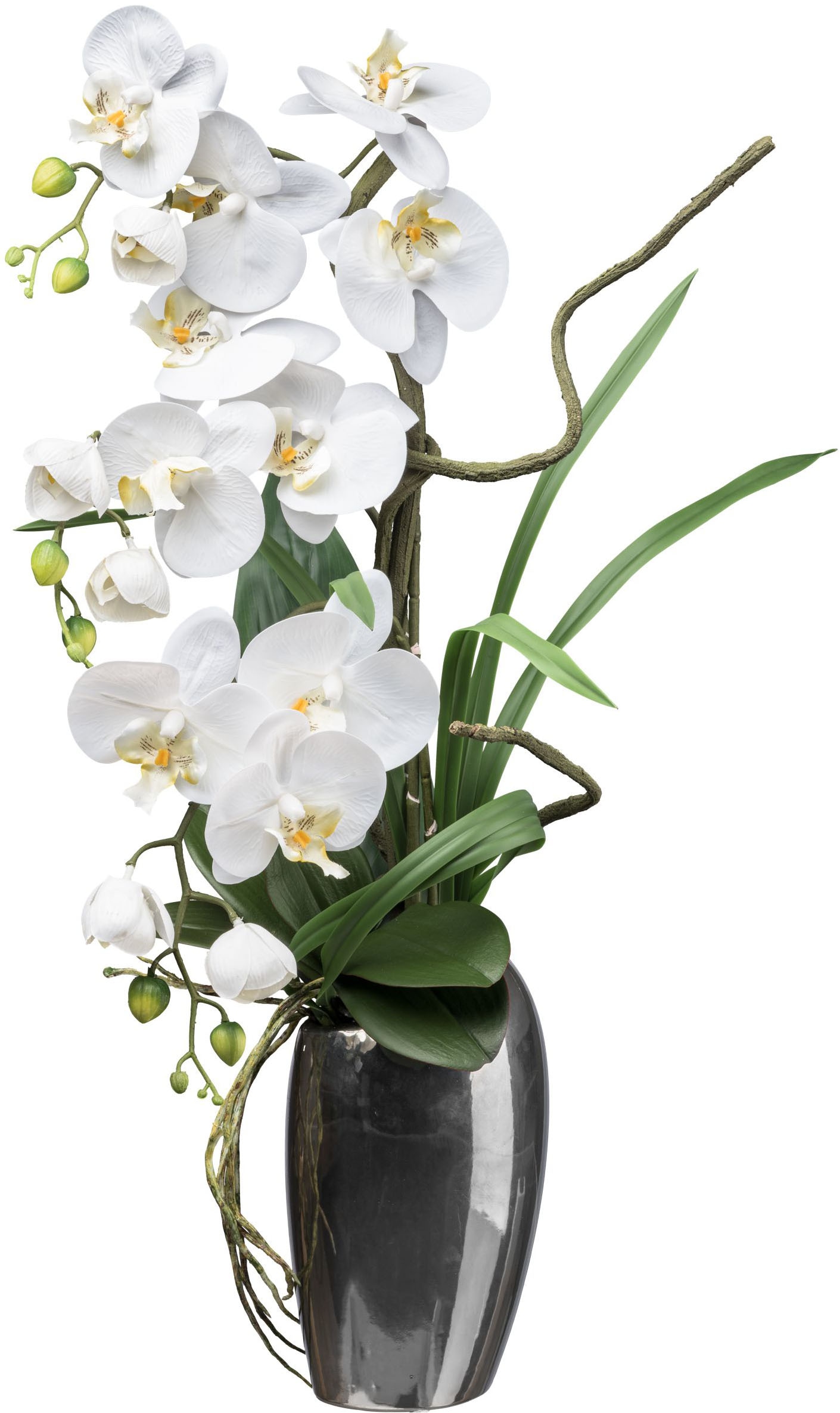 Kunstorchidee »Orchidee Phalaenopsis«, mit real-touch-Blüten