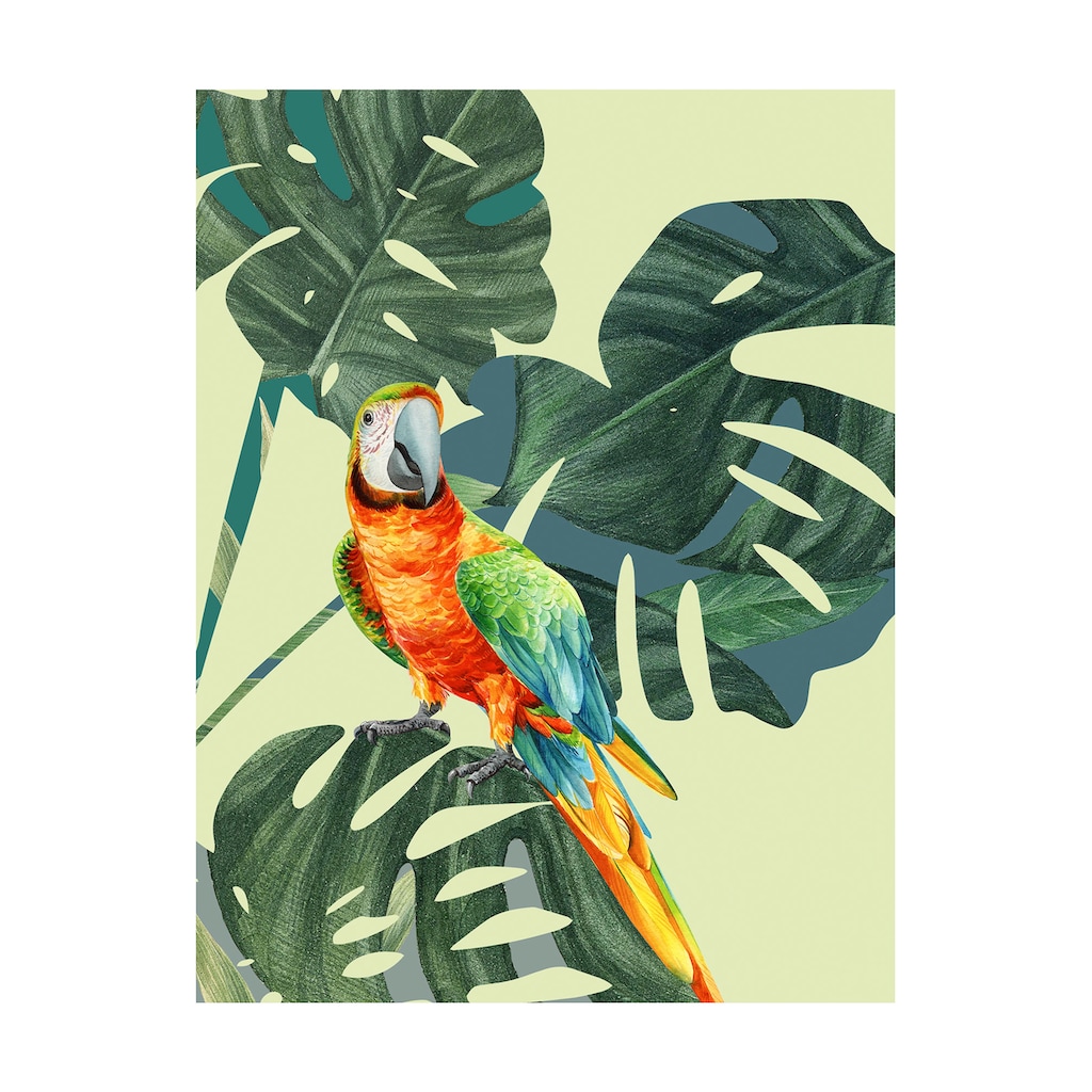 Komar Poster »Green-Winged Macaw«, (1 St.)