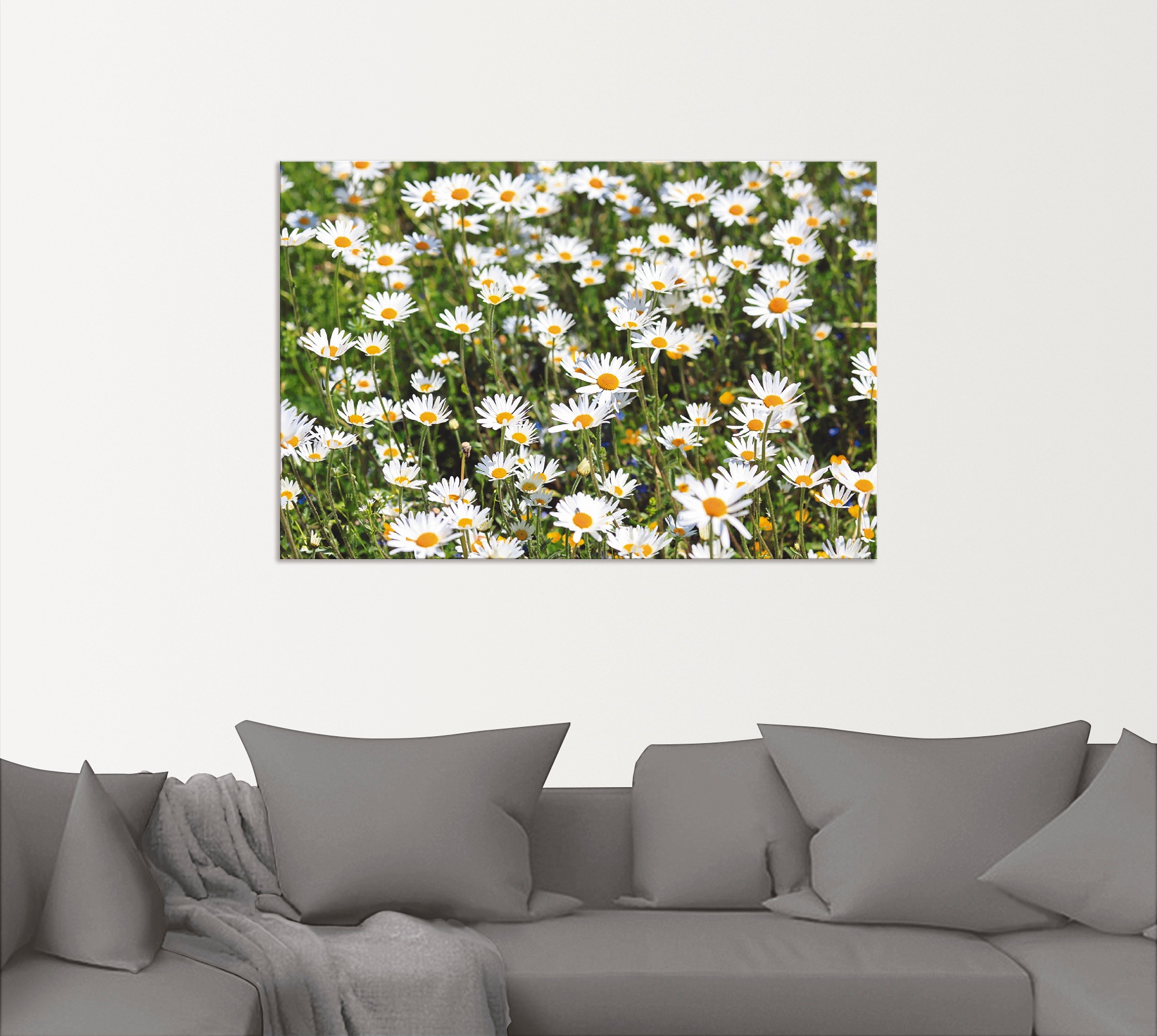 Artland Wandbild »Gänseblümchen«, Blumen, (1 St.), als Alubild, Outdoorbild, Leinwandbild in verschied. Größen
