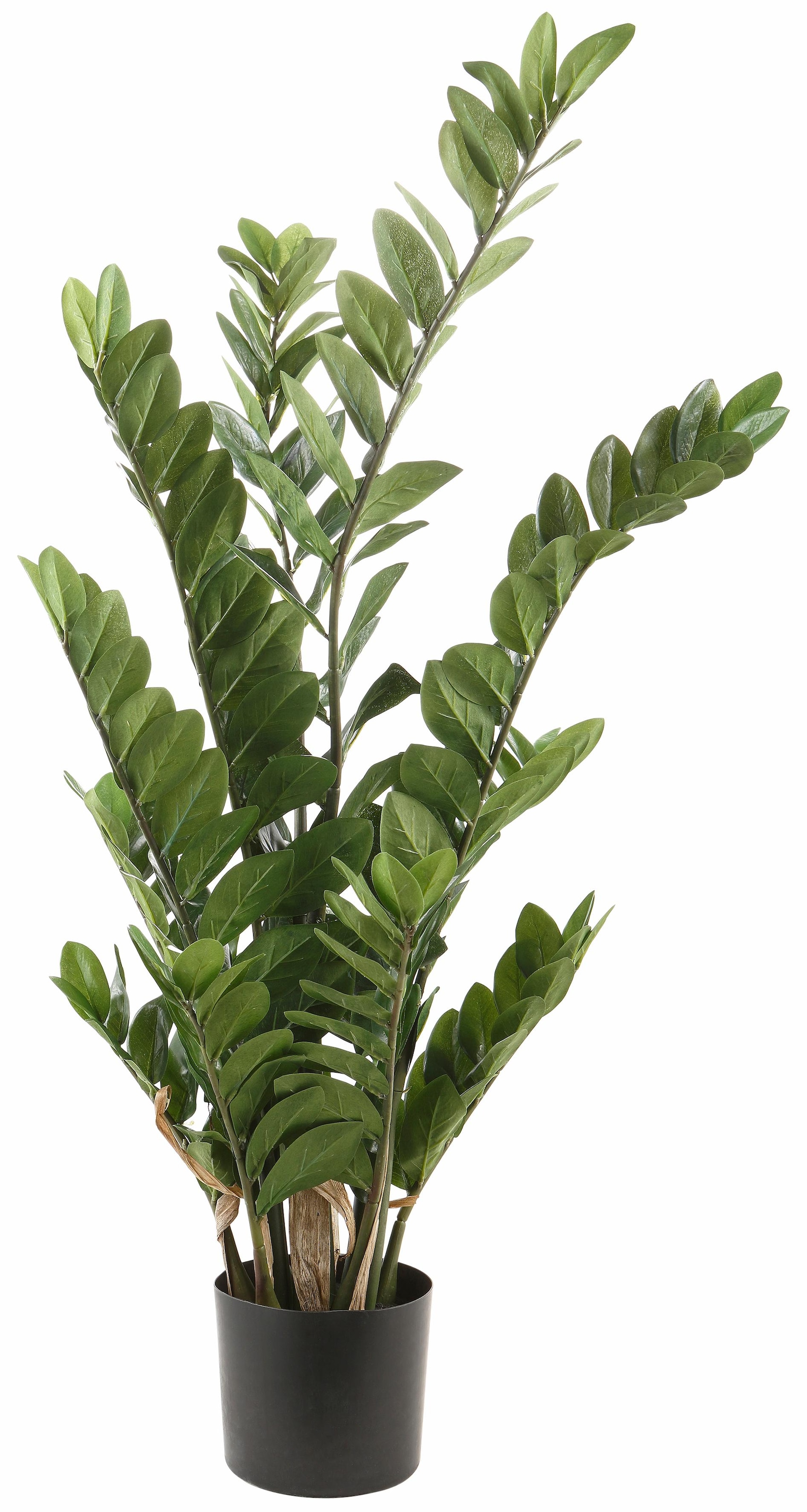 Creativ green Kunstpflanze »Zamifolia«