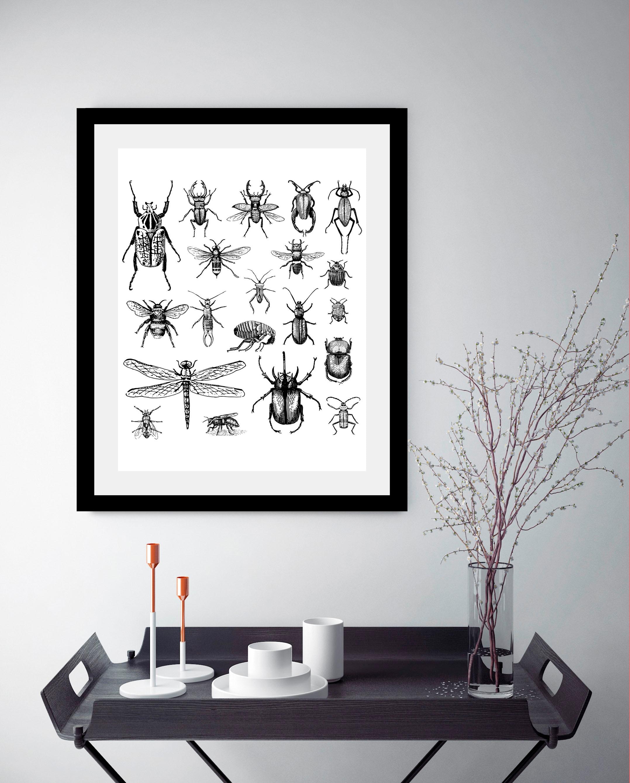 queence Bild »Käfer« Insekten | Kunst | Schwarz-Weiß | Tiere HD Premium Poster-Druck inkl. Holzrahmen