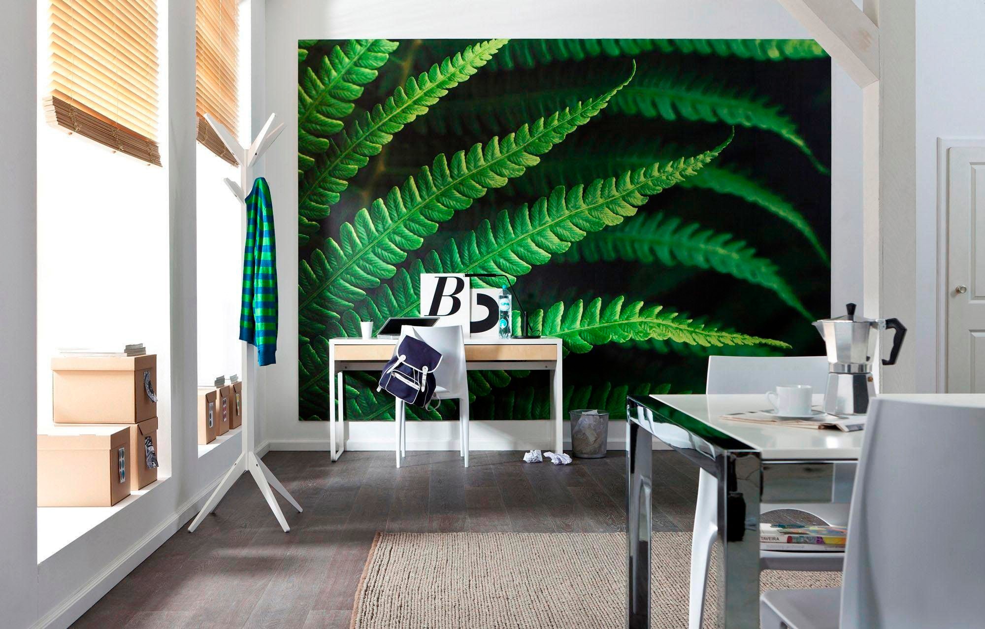 Komar Vliestapete »Digitaldruck Vlies - Farn - Größe 350 x 250 cm«, bedruckt, Wohnzimmer, Schlafzimmer