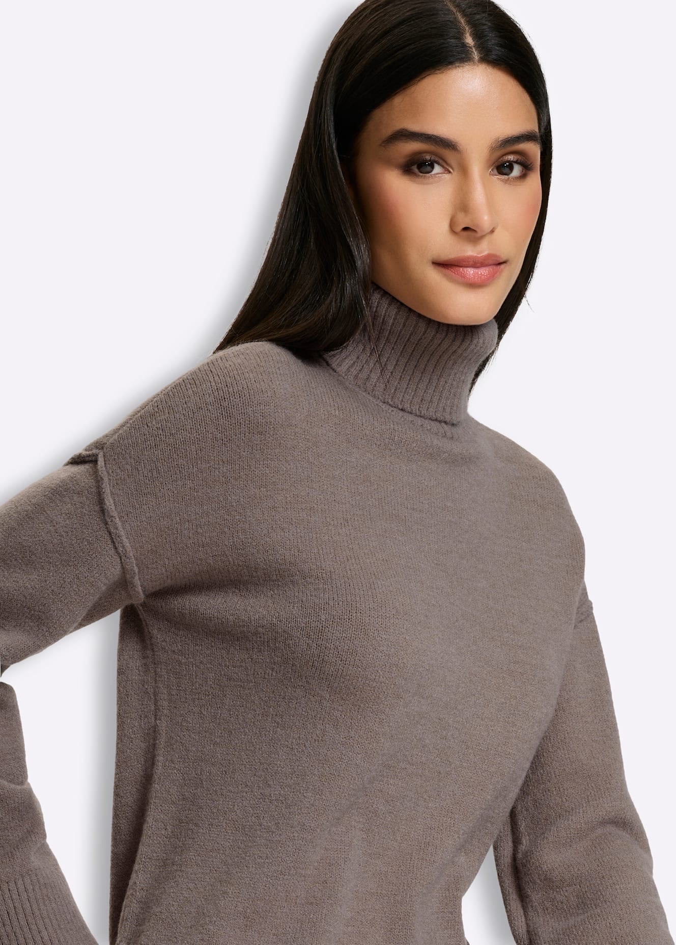 heine Strickpullover »Rollkragen-Pullover«