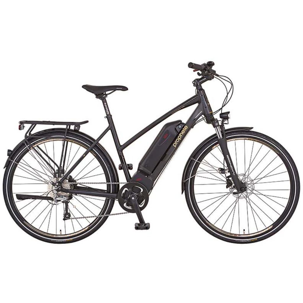 Prophete E-Bike »Entdecker eSport«, 10 Gang, Shimano, Deore, Mittelmotor 250 W