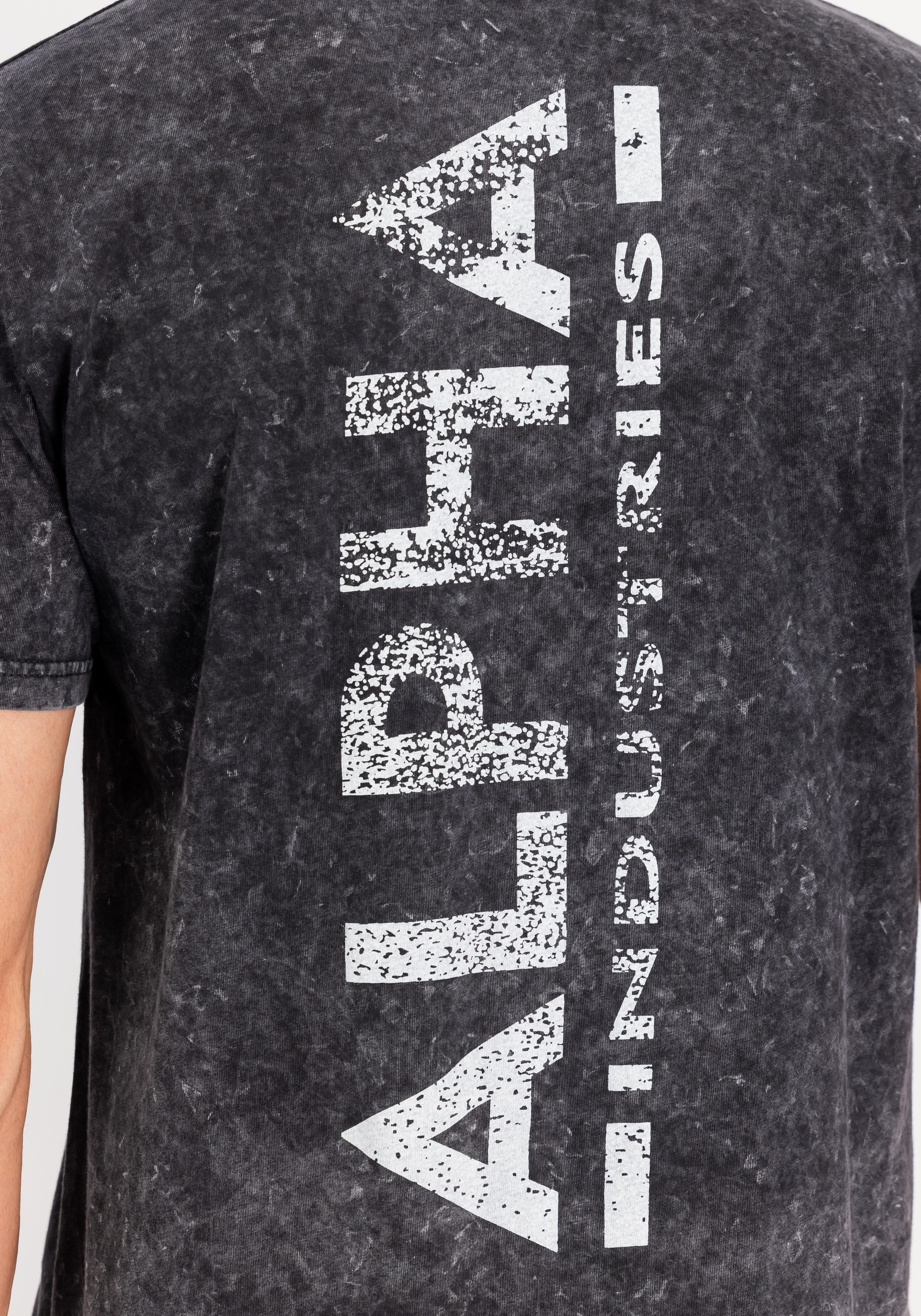 Alpha Industries T-Shirt »Vintage Backprint T-Shirt«