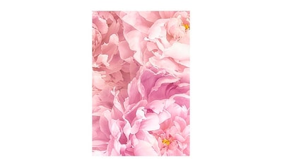 Komar Poster »Soave«, Blumen, Höhe: 40cm kaufen