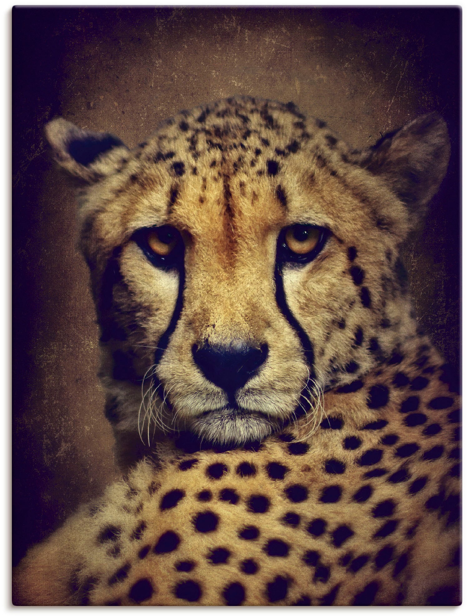 Artland Wandbild »Gepard«, Wildtiere, (1 St.), in vielen Größen & Produktarten -Leinwandbild, Poster, Wandaufkleber / Wandtattoo auch für Badezimmer geeignet