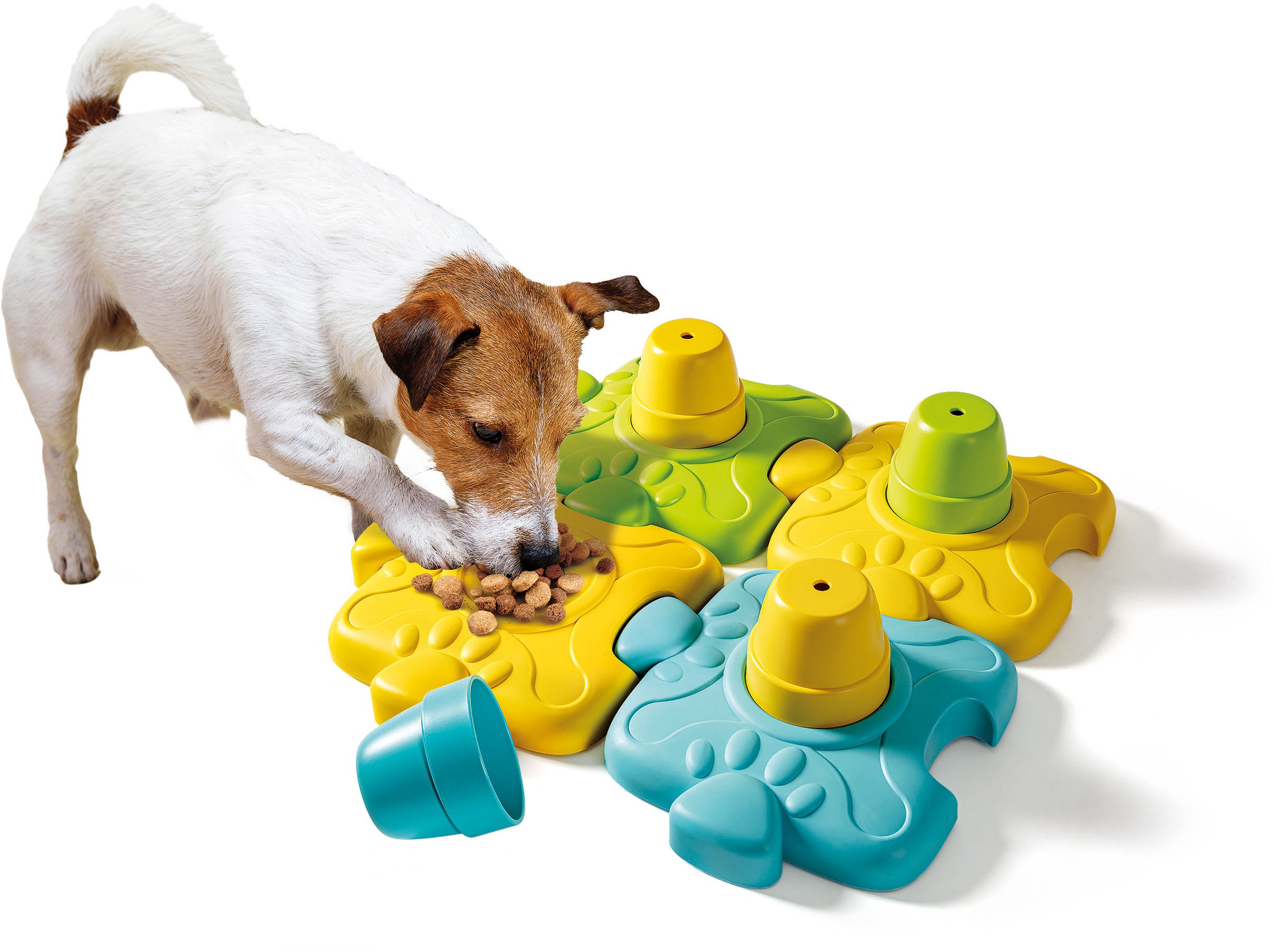 Clementoni® Experimentierkasten »Galileo, Dein Haustier Aktivitäts-Set«, Made in Europe