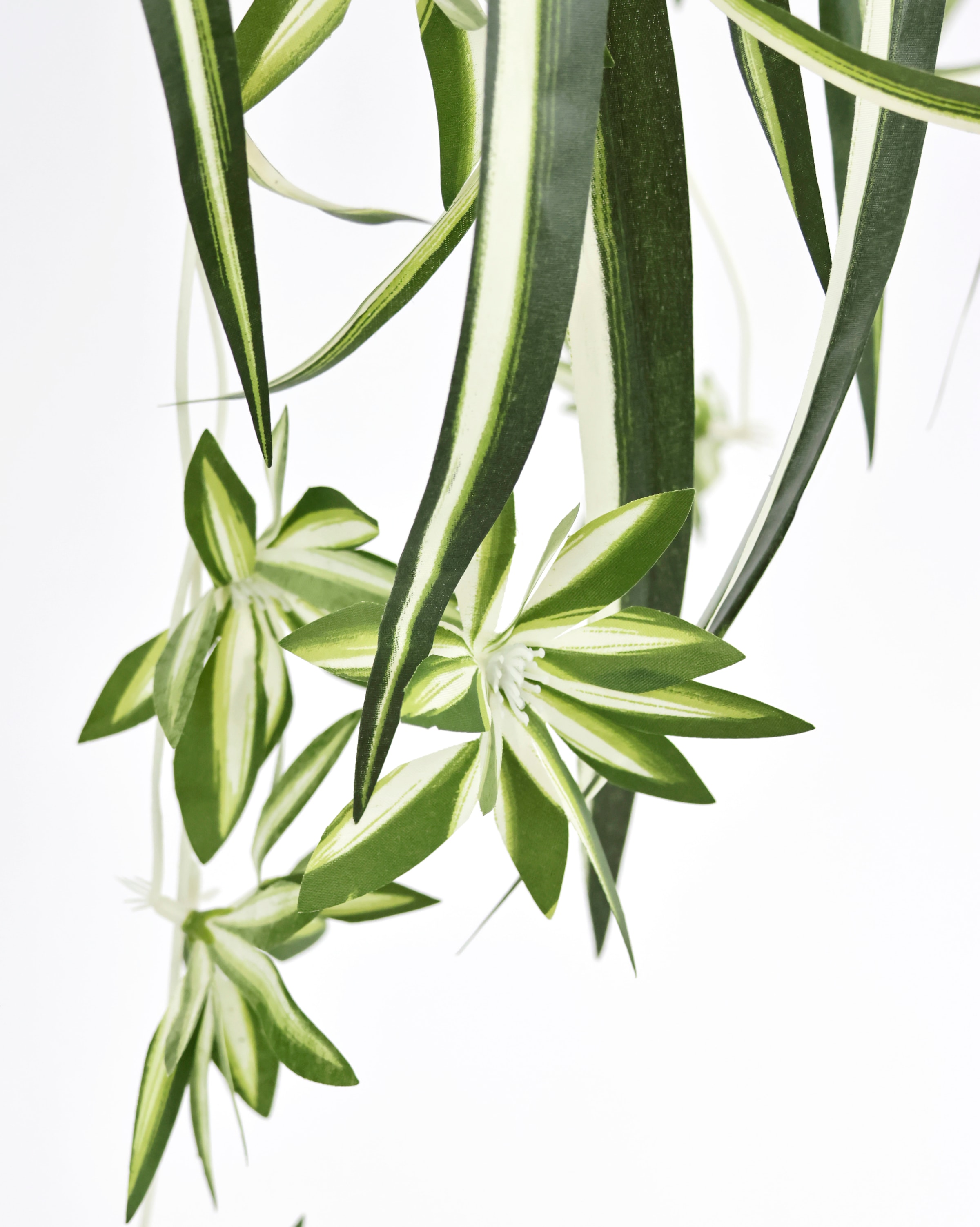 Online Shop im home Mit Kunstpflanze künstliche Wasserlilie »Grünlilie«, my Hängeampe, OTTO