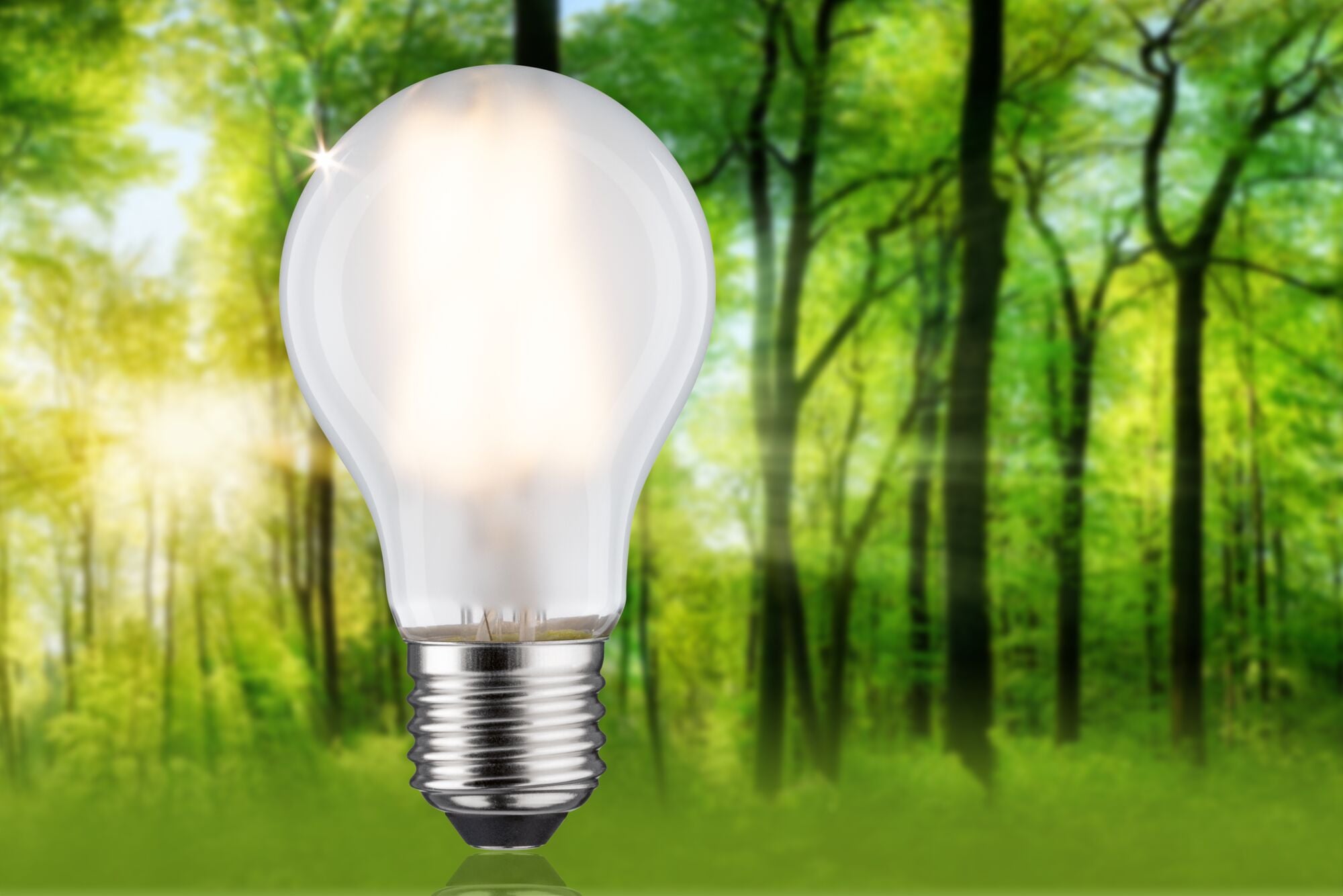 Paulmann LED-Leuchtmittel »Efficient-Line Filament 230V LED Birne E27 1 St. 525lm 2,5W 3000K Matt« E27 1 Stk. Warmweiß