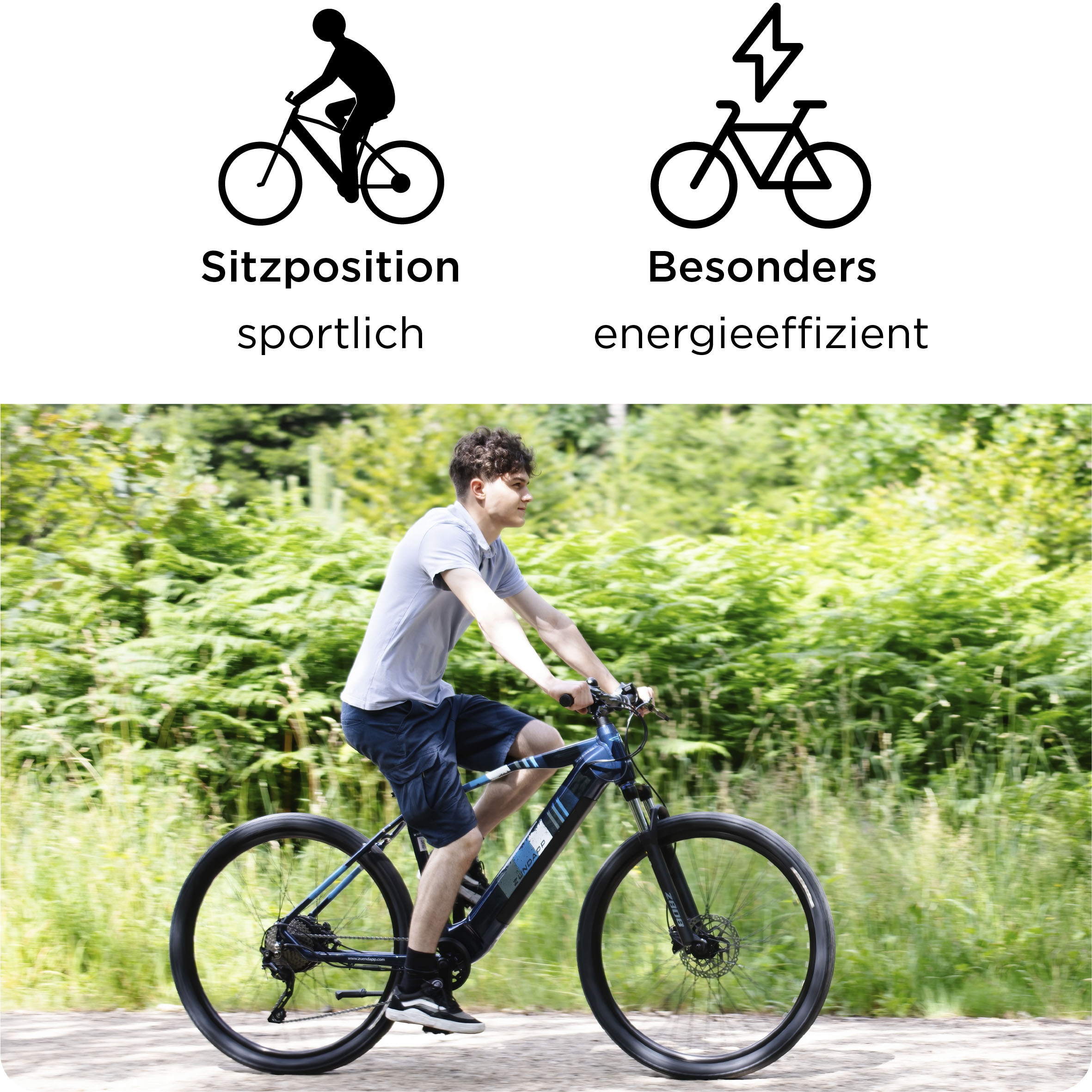 Zündapp E-Bike »Z808«, 10 Gang, Heckmotor 250 W, Pedelec, Elektrofahrrad für Damen u. Herren, MTB