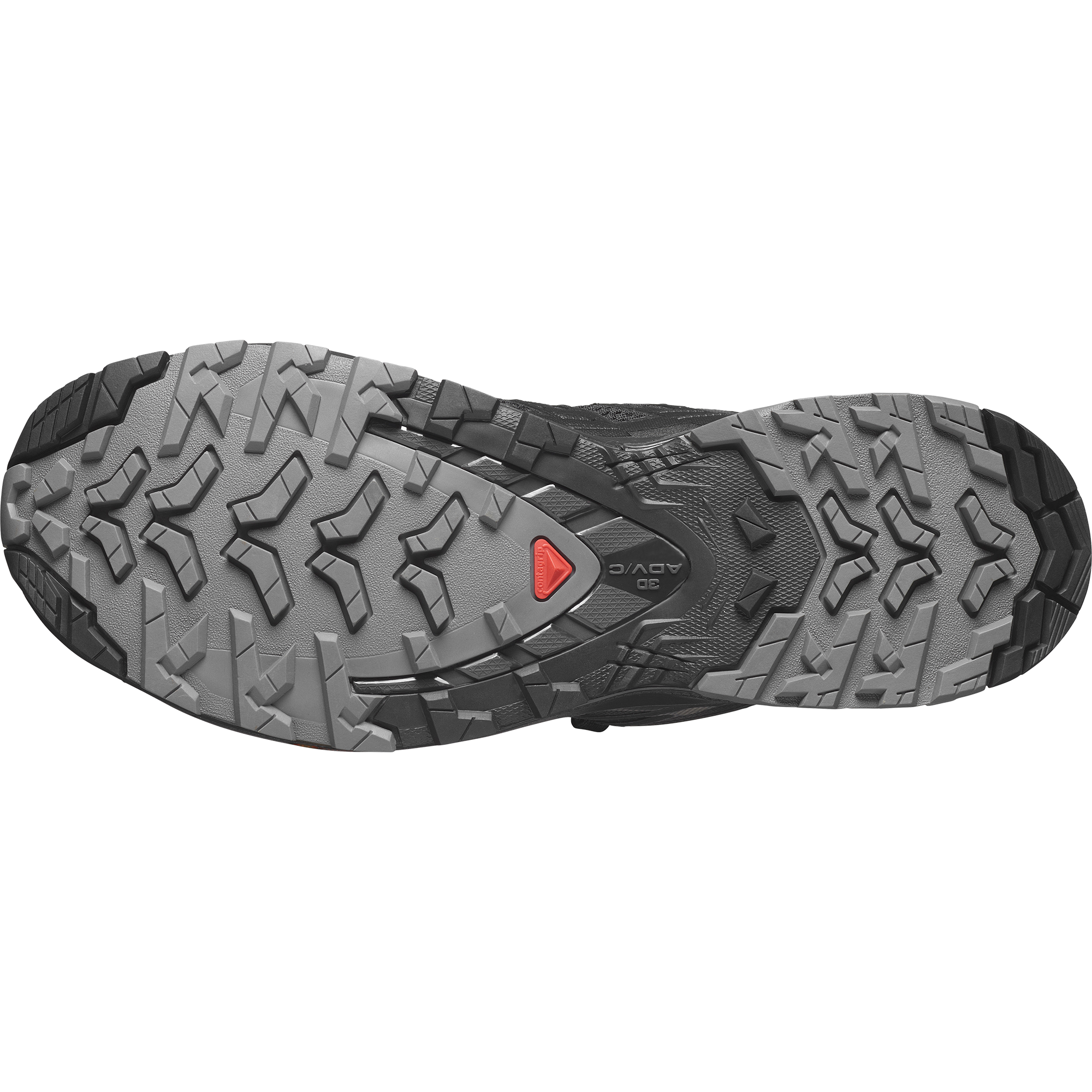 Salomon Trailrunningschuh »XA PRO 3D V9«