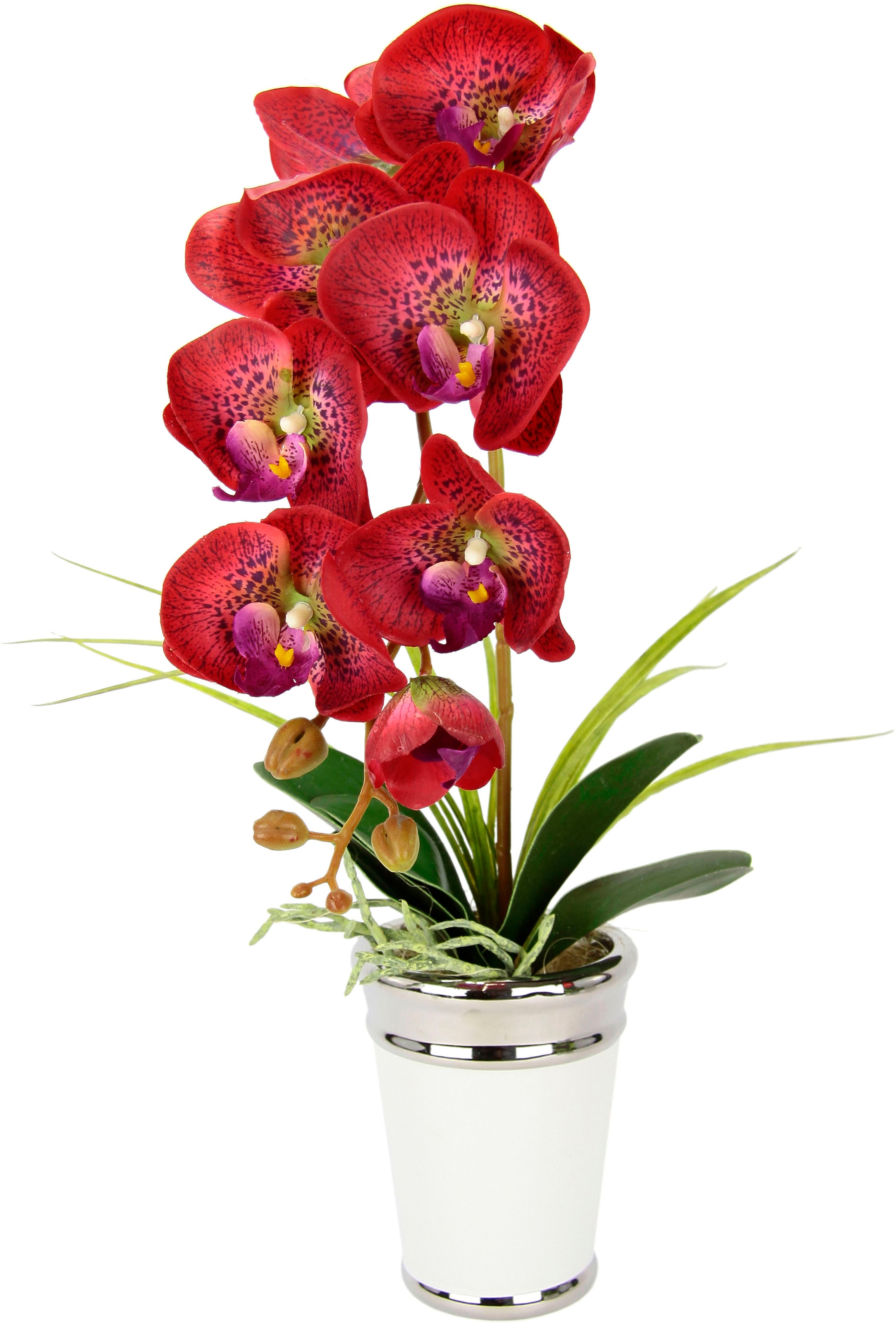 I.GE.A. Kunstblume »Orchidee«, im Topf, aus Keramik, Seidenblume Real Touch
