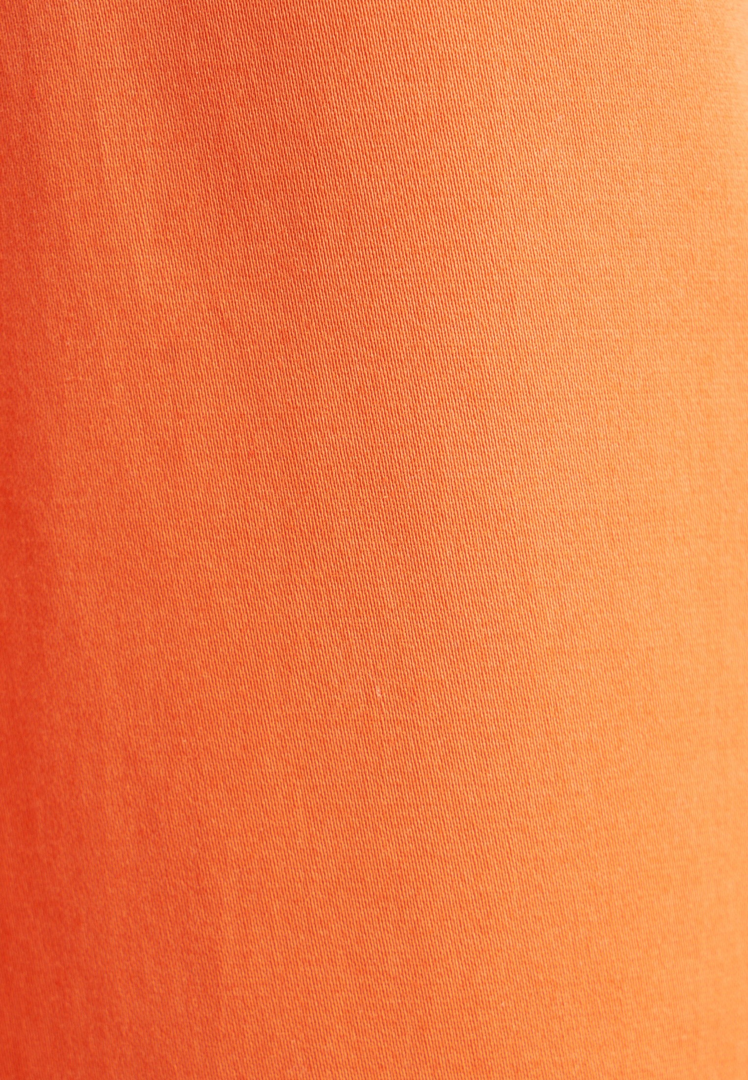 seidensticker Sommerkleid »Schwarze Rose«, Langarm Kragen Uni