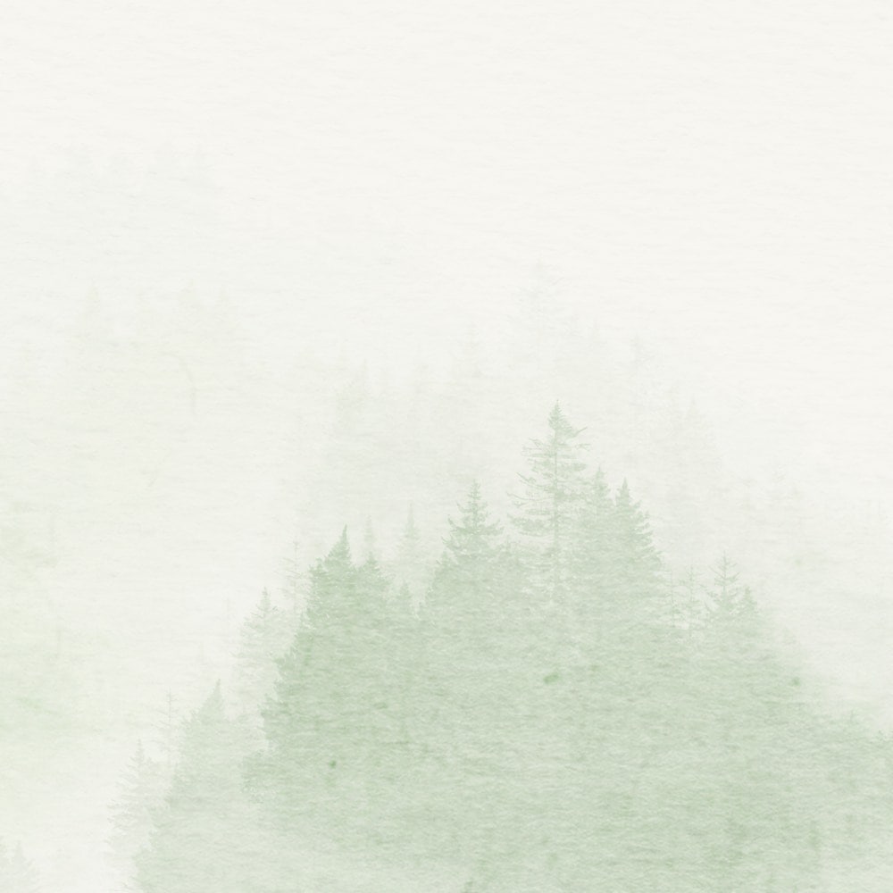 Komar Fototapete »Vlies Fototapete - Blurry Woods - Größe 350 x 250 cm« Motiv | bedruckt glatt