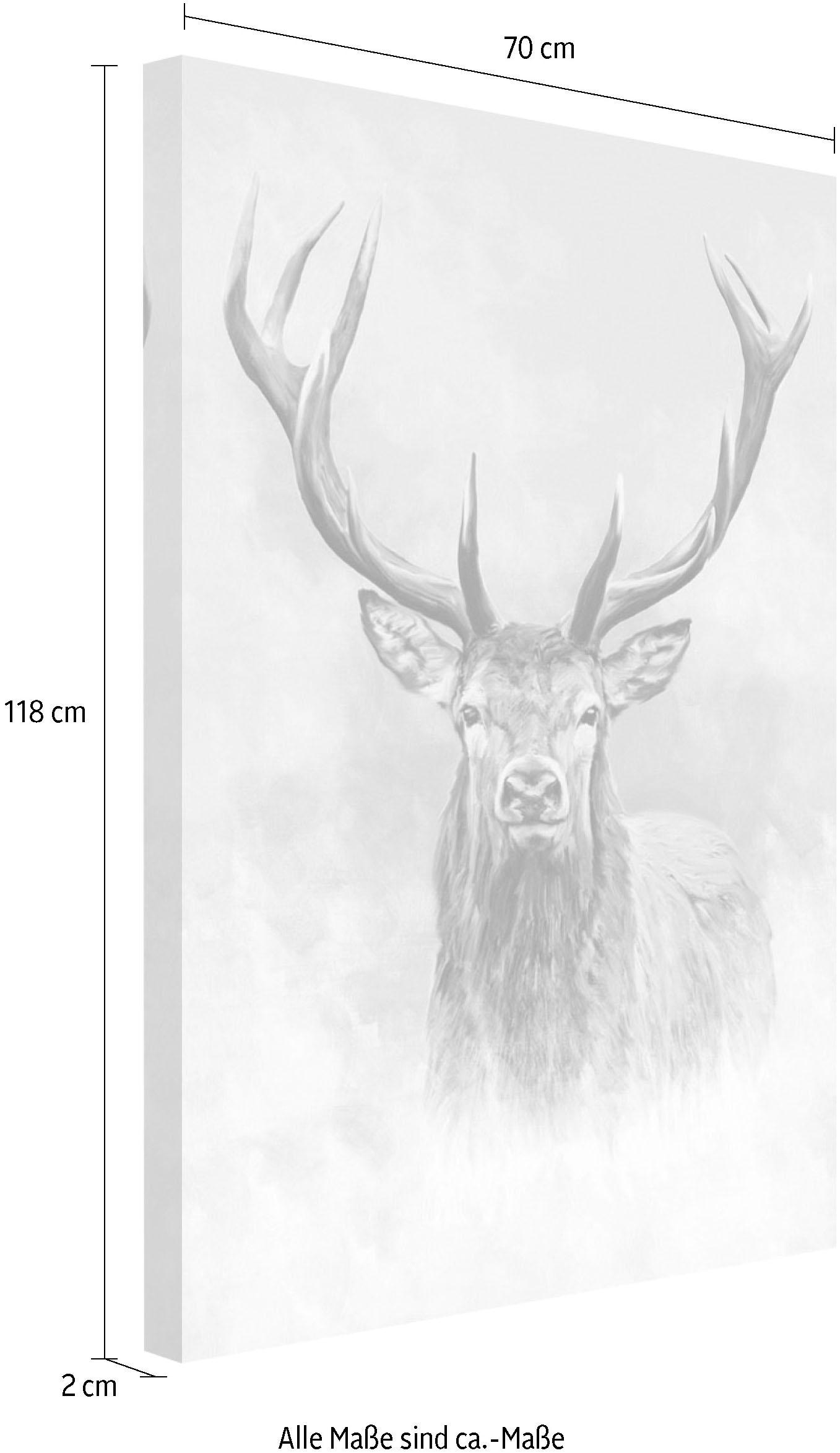 Reinders! Wandbild »Hirsch« kaufen online bei OTTO | Kunstdrucke