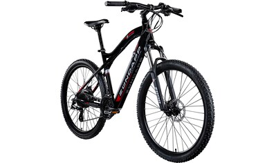 E-Bike »Z898«, 24 Gang, Heckmotor 250 W