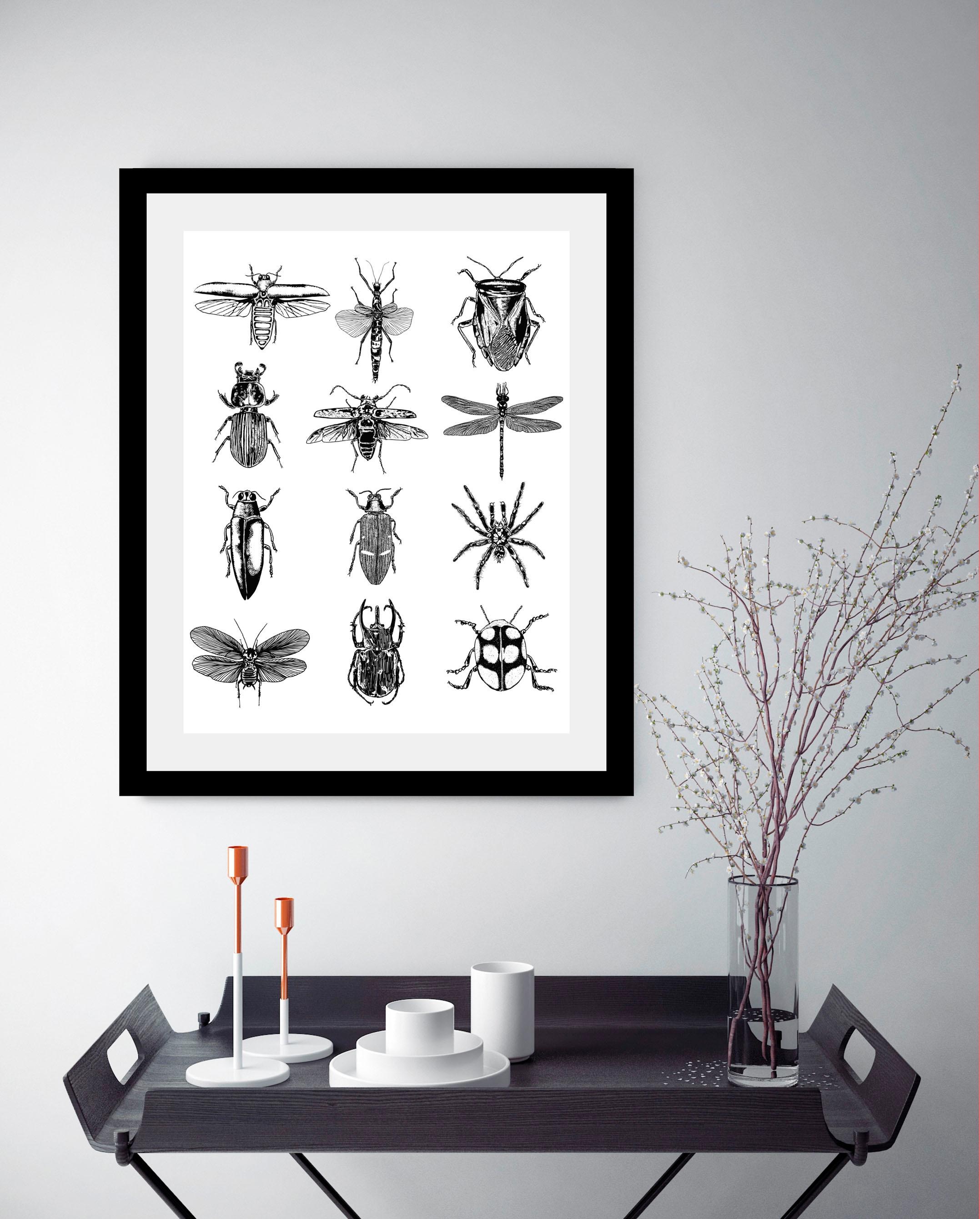 queence Bild »Insekten« Insekten | Kunst | Schwarz-Weiß | Tiere HD Premium Poster-Druck inkl. Holzrahmen