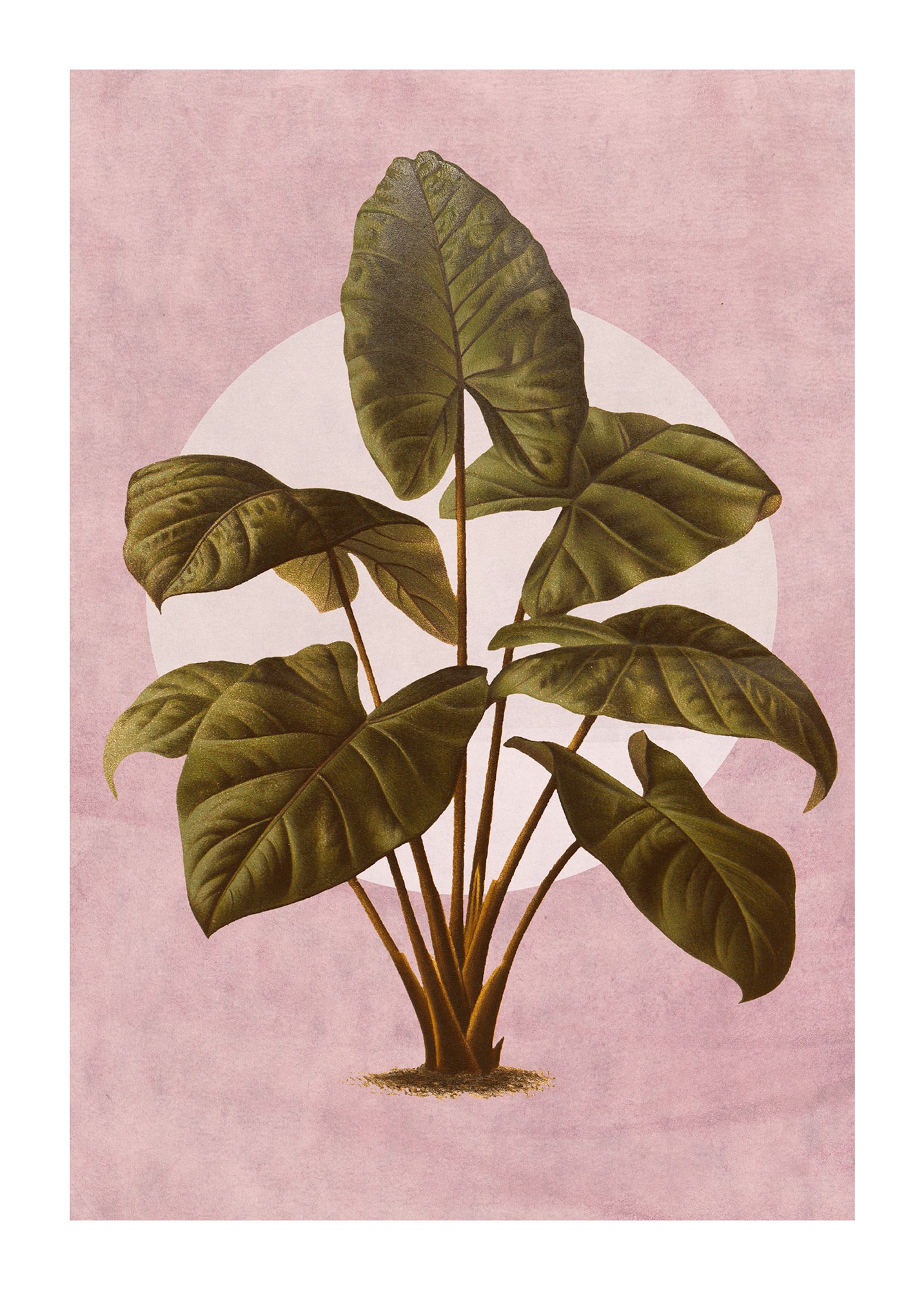 Komar Poster »Créatures Végétales«, (1 St.), Kinderzimmer, Schlafzimmer, Wohnzimmer