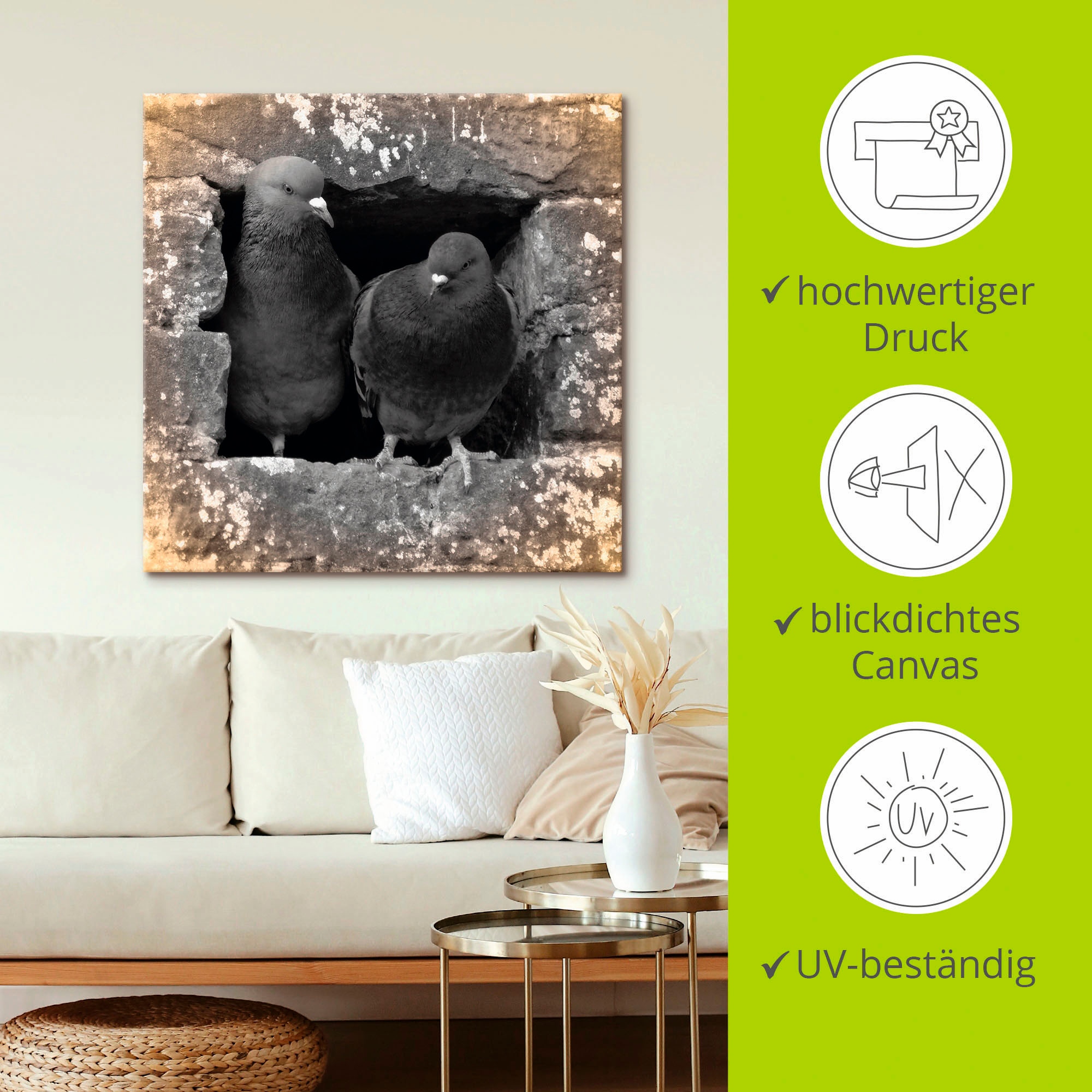 Artland Wandbild »Tauben Liebe«, Vögel, (1 St.), als Alubild, Outdoorbild, Leinwandbild, Poster in verschied. Größen