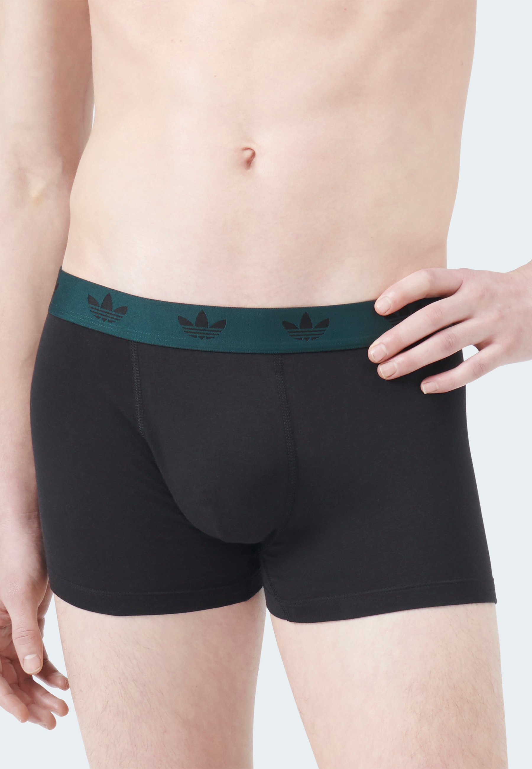 adidas Originals Trunk »Comfort Flex Cotton« 2er Pack,  weich, elastisch, Baumwollmix, Logo-Bund, ohne Eingriff