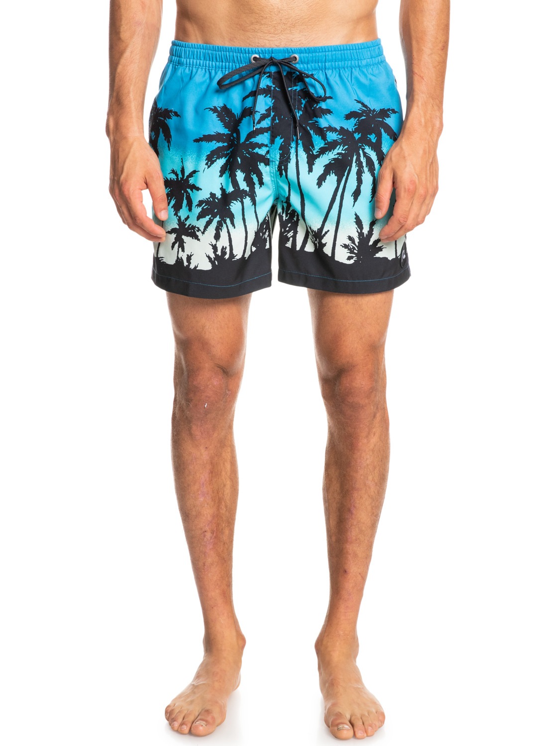 Quiksilver Boardshorts »Everyday Paradise 15"« kaufen