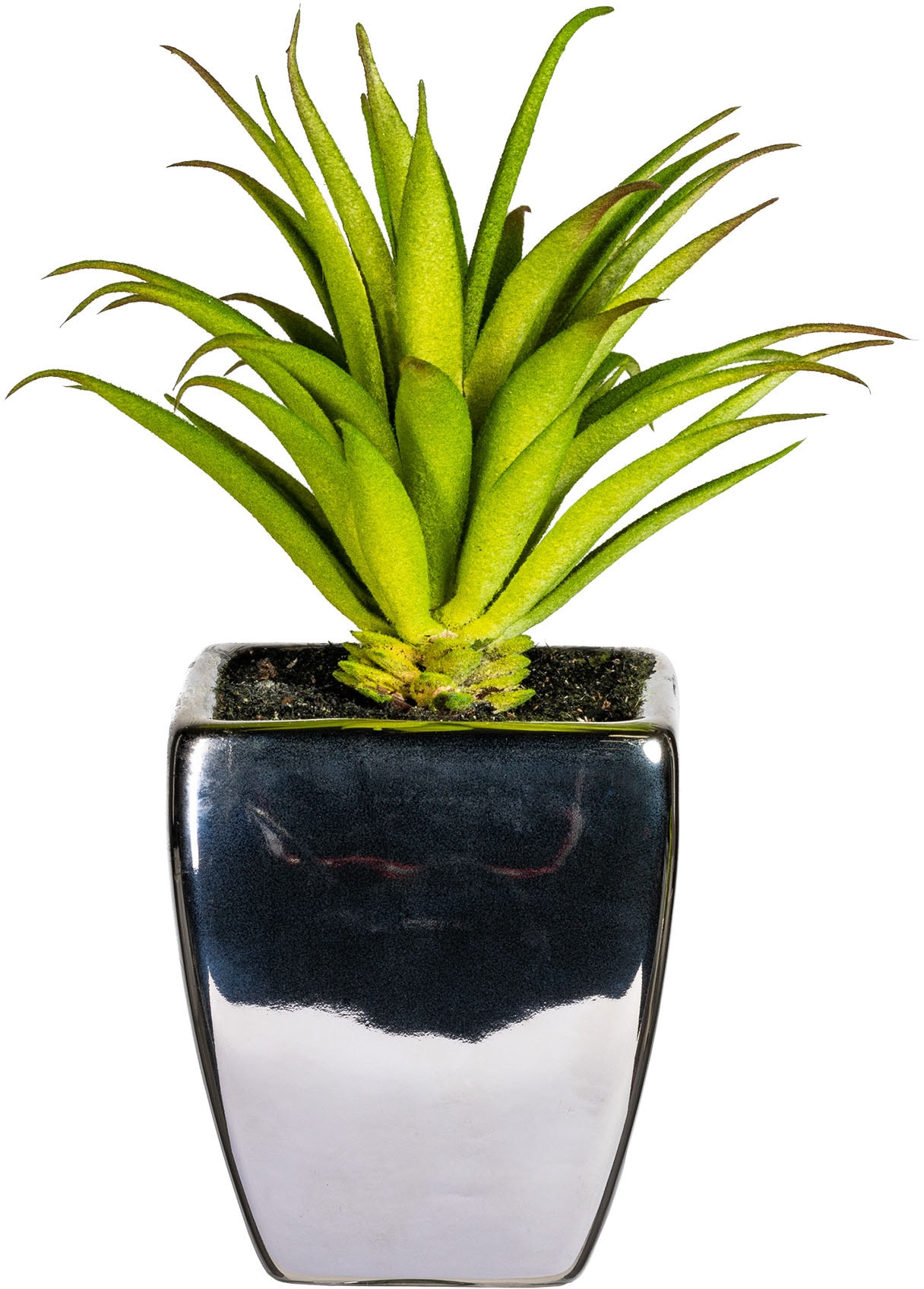 Leonique Kunstpflanze »Loreen« im Topf, 3er Set