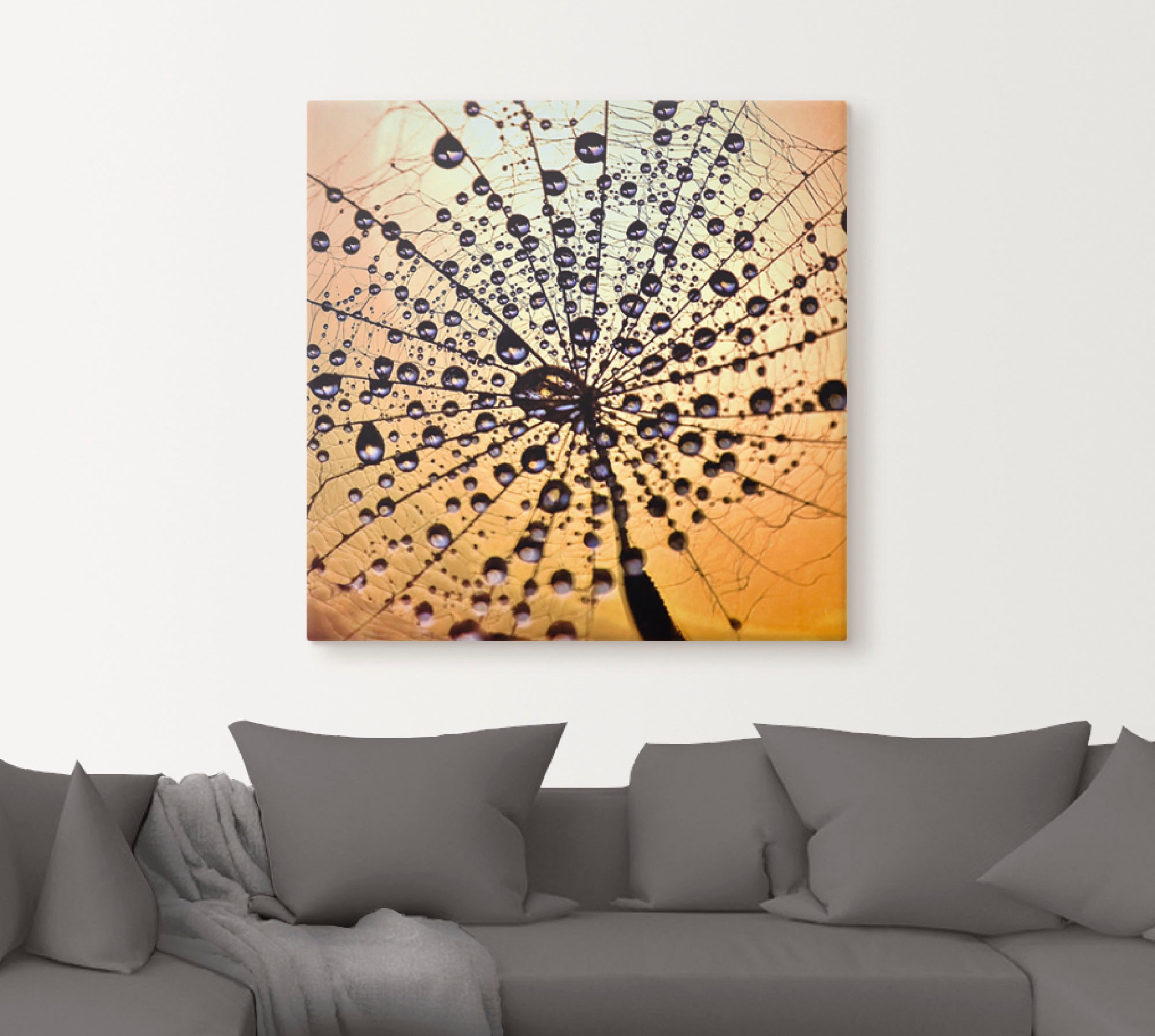 Artland Wandbild »Pusteblume Tröpfchenfang«, Blumen, (1 St.), als Leinwandbild, Wandaufkleber in verschied. Größen