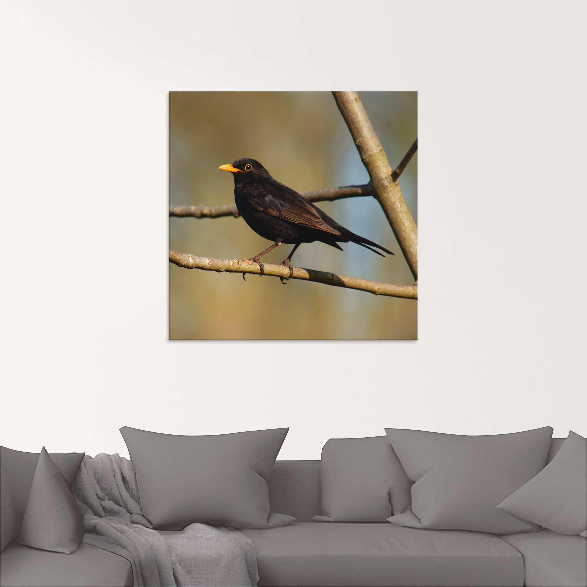 Artland Glasbild »Amsel«, Vögel, (1 St.), in verschiedenen Größen