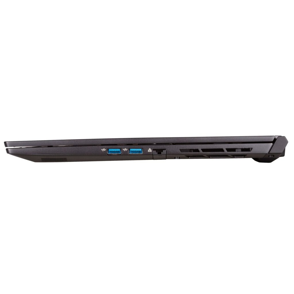 CAPTIVA Gaming-Notebook »Highend Gaming I66-737«, 43,9 cm, / 17,3 Zoll, Intel, Core i7, GeForce RTX 3070, 1000 GB SSD