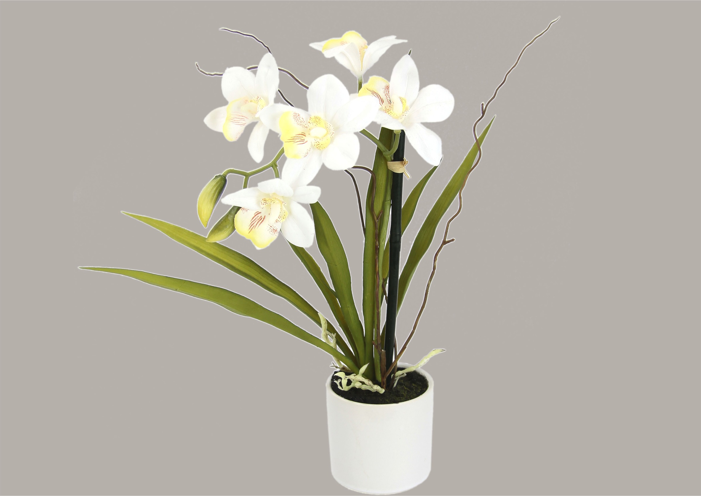 I.GE.A. Kunstorchidee »Orchidee«, (1 bei kaufen online im St.), OTTO Keramiktopf