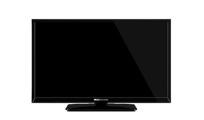 LED-Fernseher »LED 24.12 HTV«, 60 cm/24 Zoll, HD ready