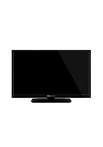 Silva Schneider LED-Fernseher »LED 24.12 HTV«, 60 cm/24 Zoll, HD ready kaufen