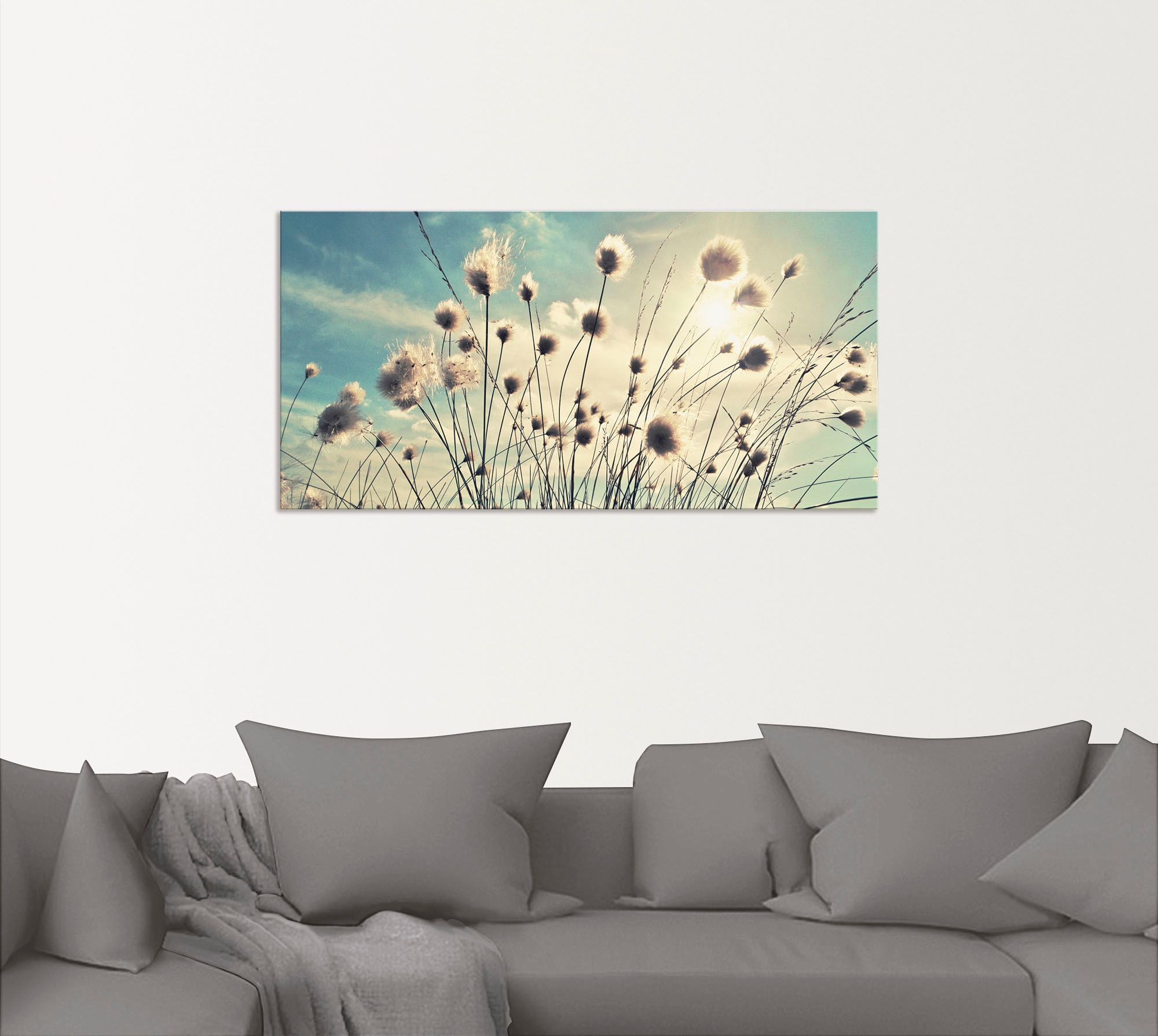Artland Wandbild »Wollgras«, Gräser, (1 St.), als Alubild, Outdoorbild, Leinwandbild, Poster, Wandaufkleber