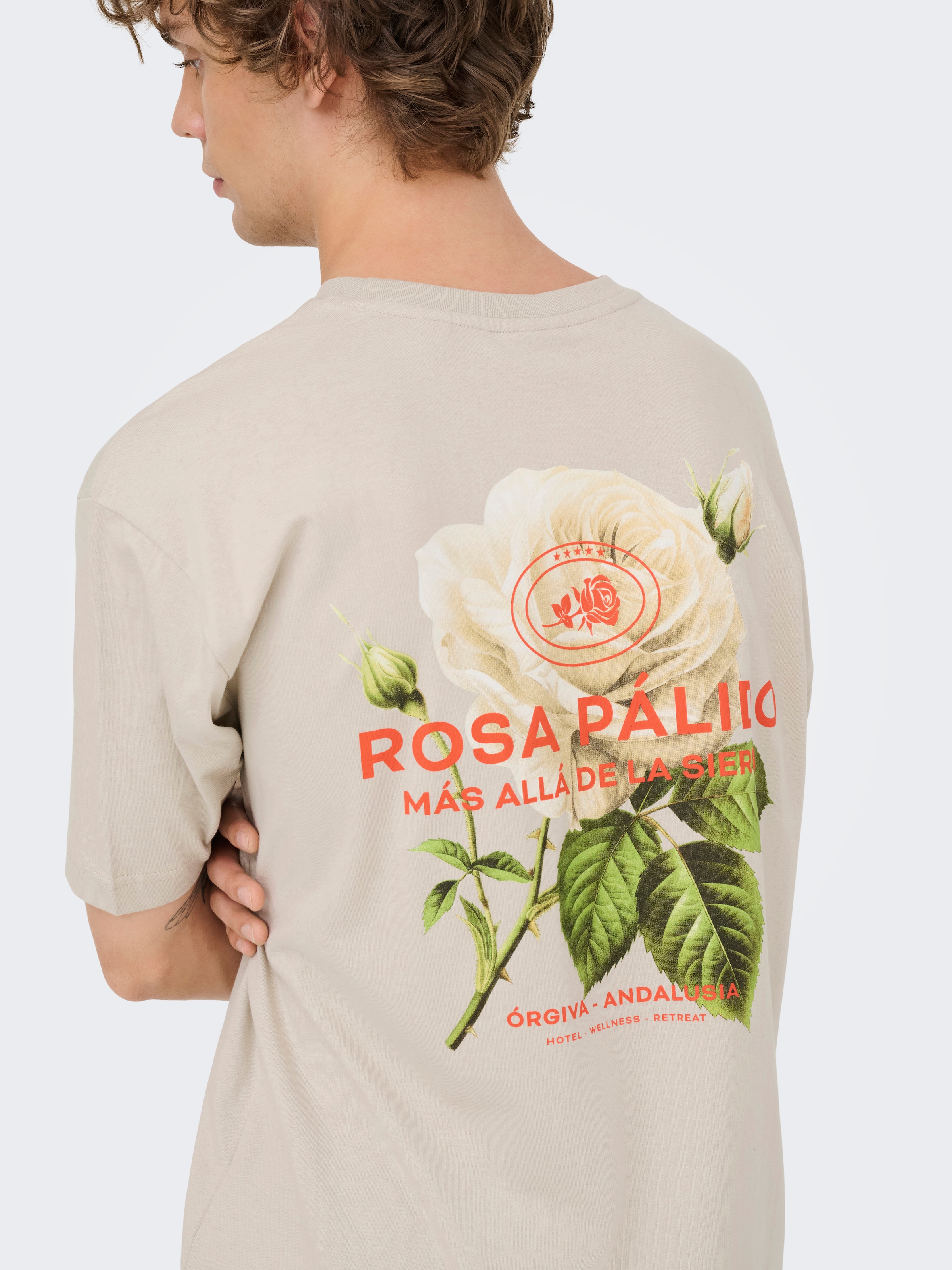 ONLY & SONS T-Shirt »ONSFRANK RLX SS TEE NOOS« Baumwolle, relaxed fit