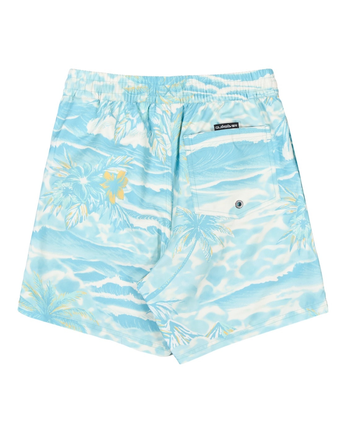 Quiksilver Badeshorts »Everyday Printed Volley 14"«
