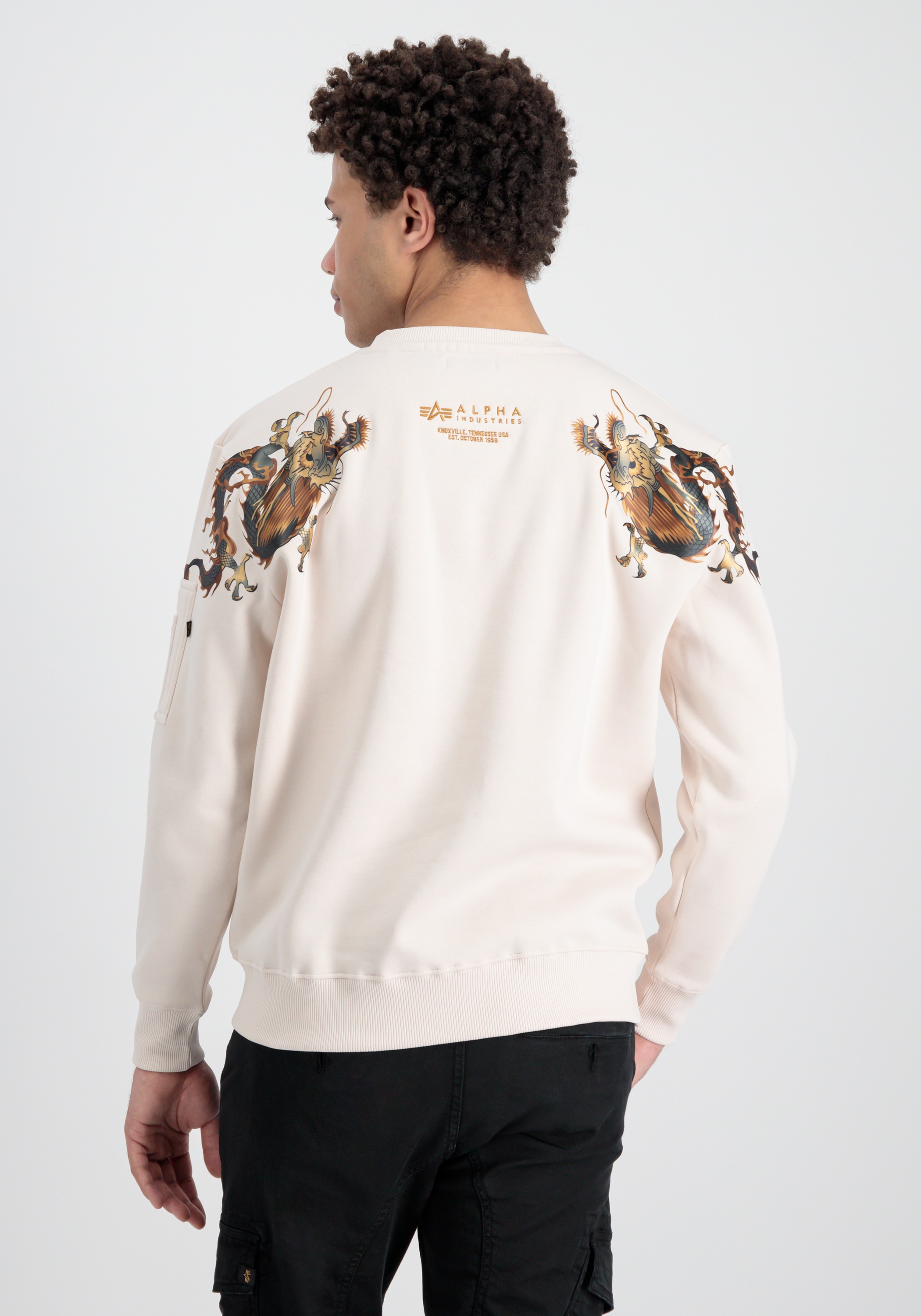 Alpha Industries Sweater »Alpha Industries Men - Sweatshirts Dragon EMB Sweater«