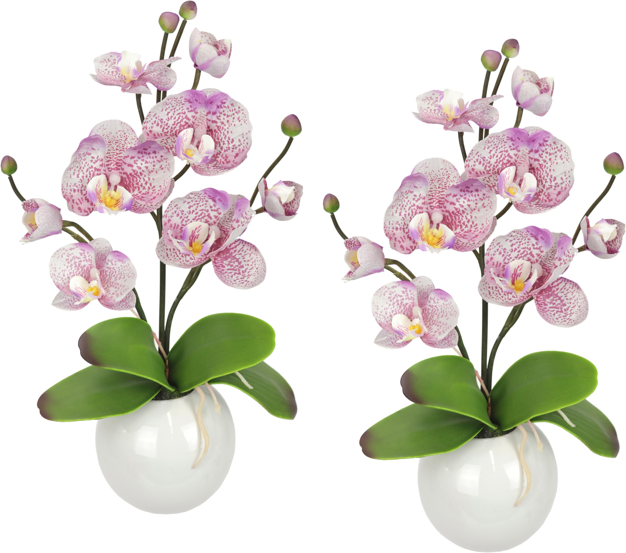 I.GE.A. Kunstpflanze »Orchidee«
