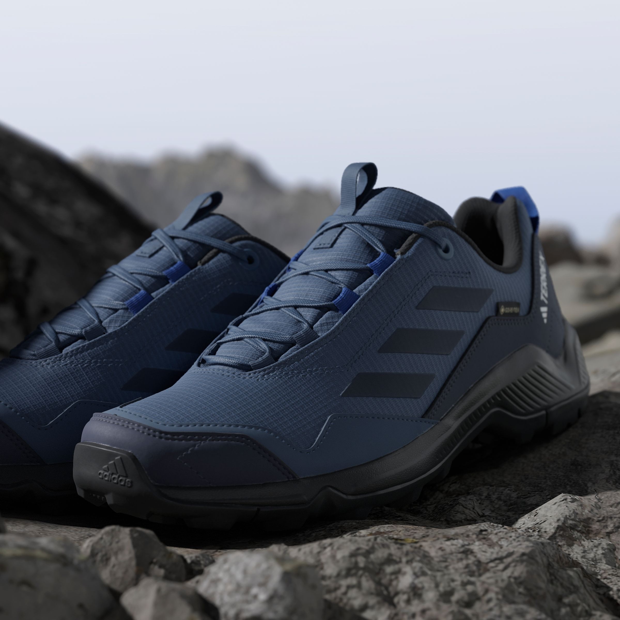 adidas TERREX Wanderschuh »TERREX EASTRAIL GORE-TEX«