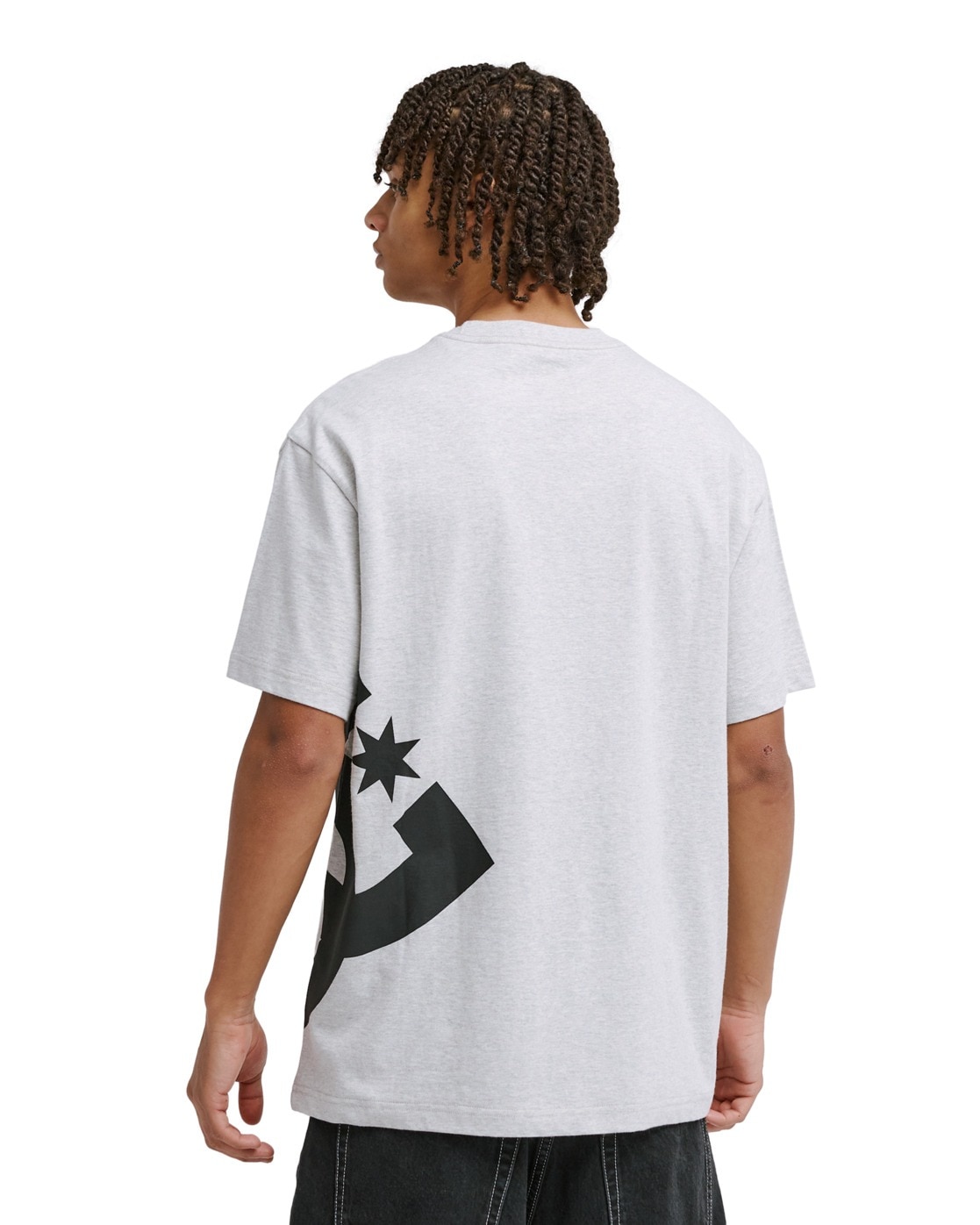 DC Shoes T-Shirt »DC Lanai«