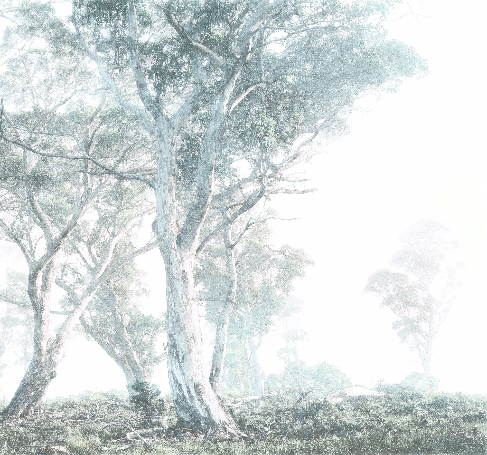 Komar Vliestapete »Magic Trees«, 300x280 cm (Breite x Höhe), Vliestapete, 100  cm Bahnbreite online kaufen bei OTTO