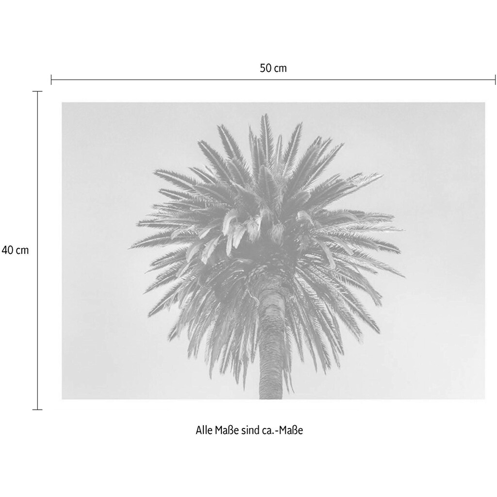 Komar Poster »Palm Tree«, Pflanzen-Blätter, (1 St.), Kinderzimmer, Schlafzimmer, Wohnzimmer
