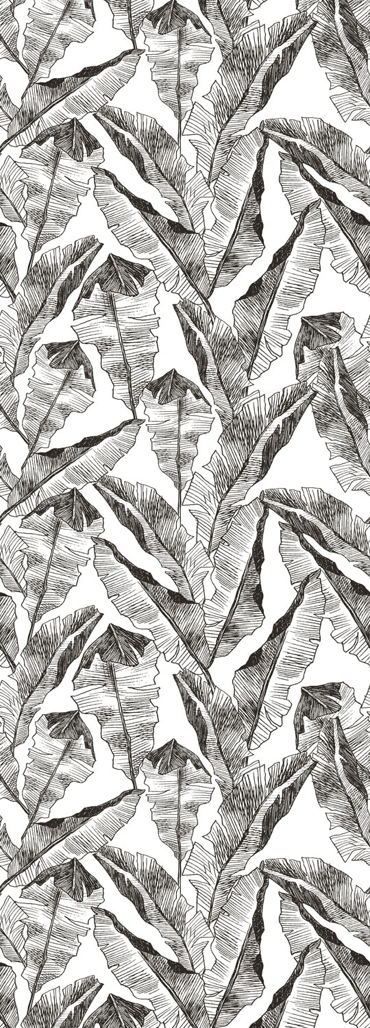 queence Vinyltapete »Drasso«