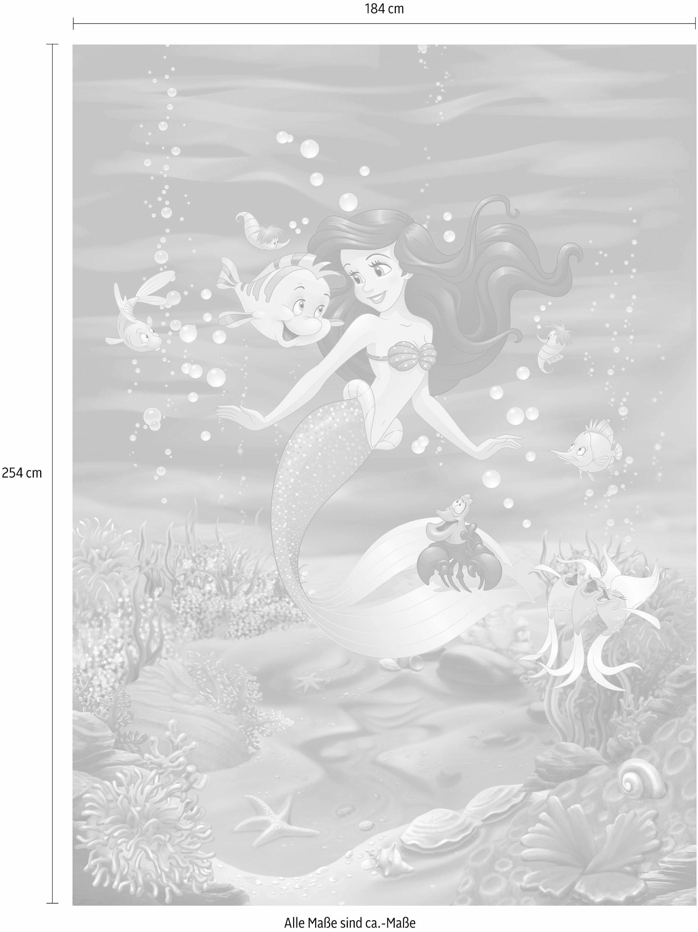 Komar Fototapete »Ariel Singing - Größe 184 x 254 cm«, bedruckt, Kinderzimmer