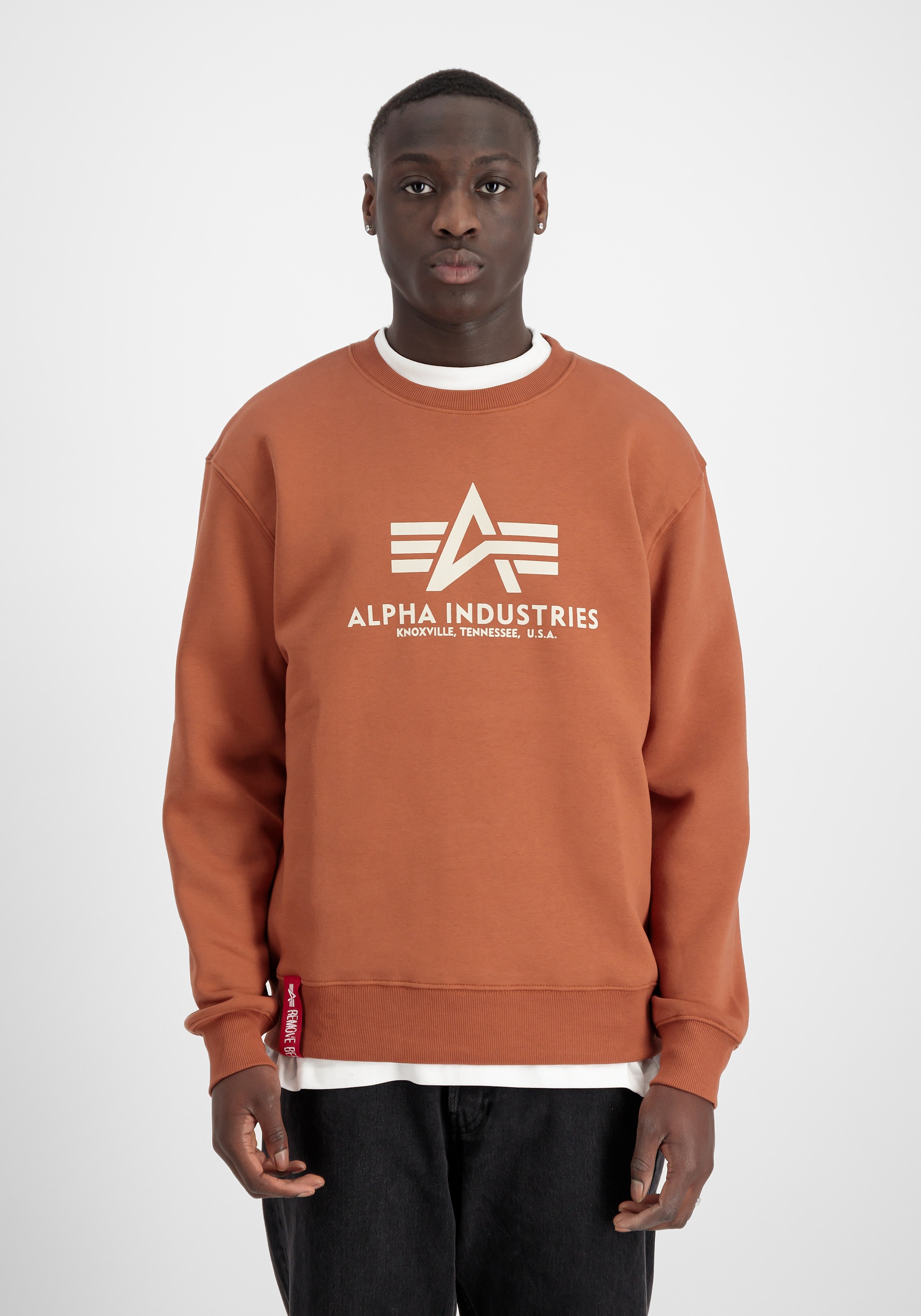 Alpha Industries Sweater »Basic Sweatshirt BL«
