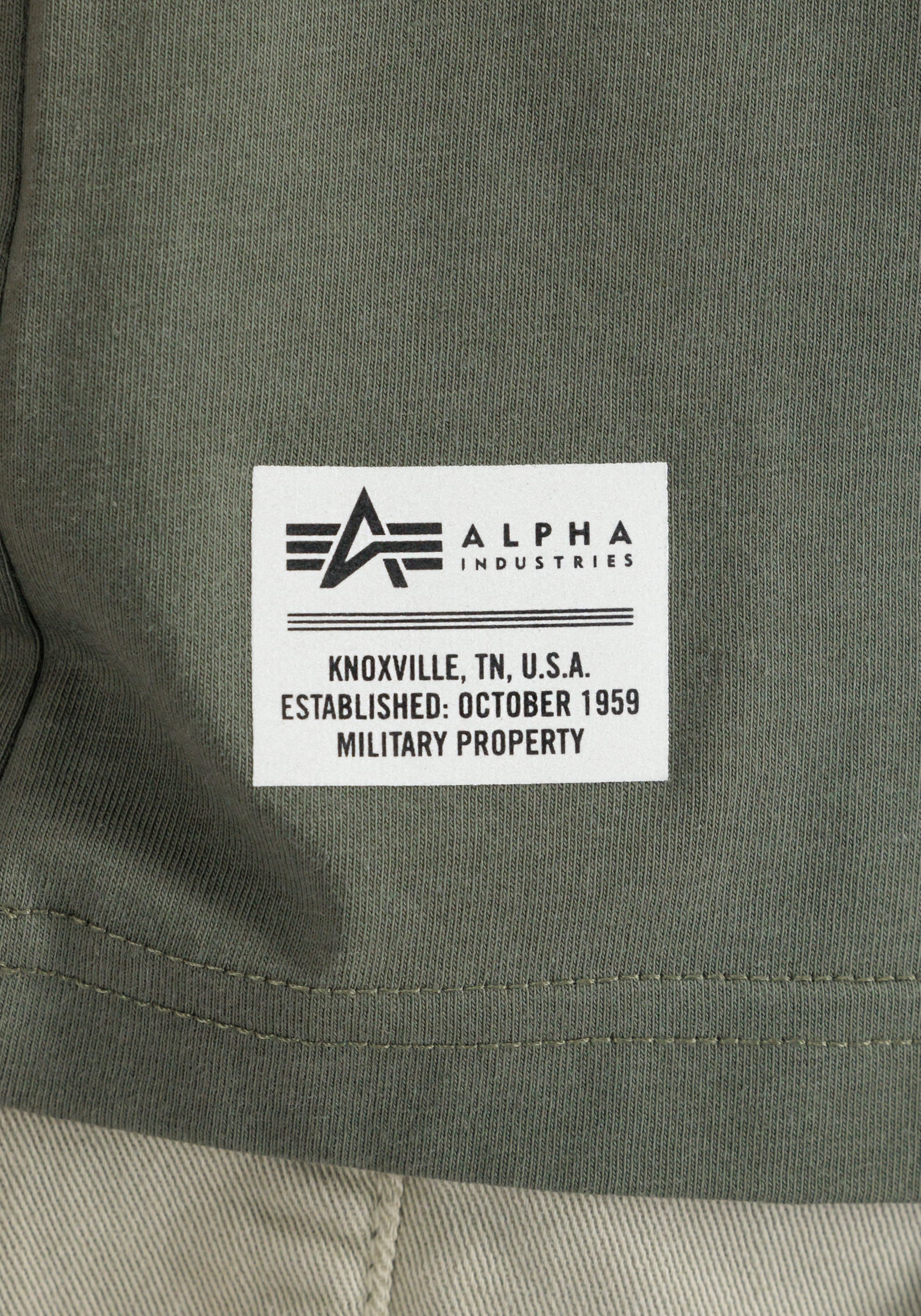 Alpha Industries T-Shirt »Dragon EMB T-Shirt«