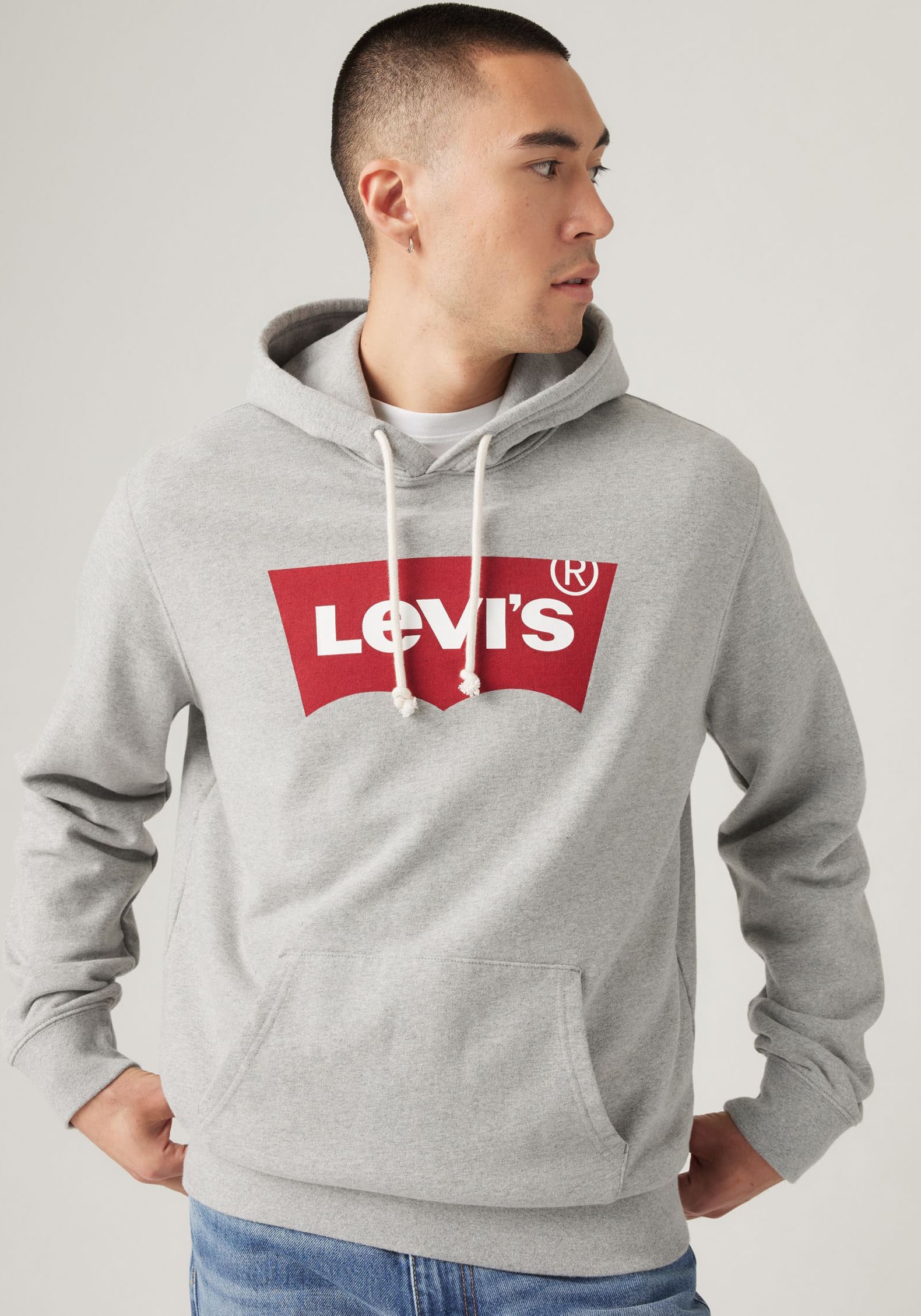Levi's® Hoodie »STANDARD GRAPHIC HOOD«, mit Kängurutasche
