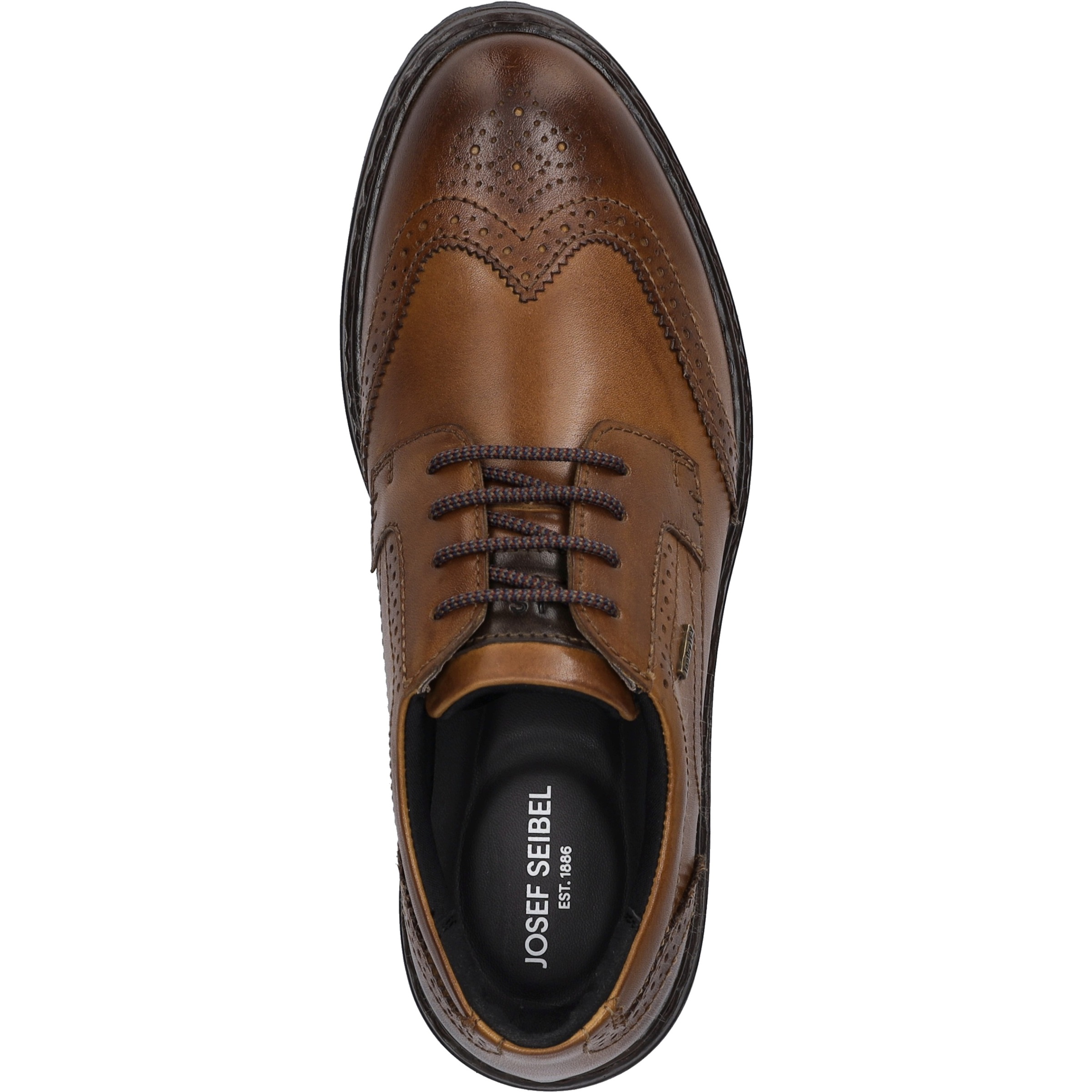 Josef Seibel Schnürschuh »Erroll 59, cognac«