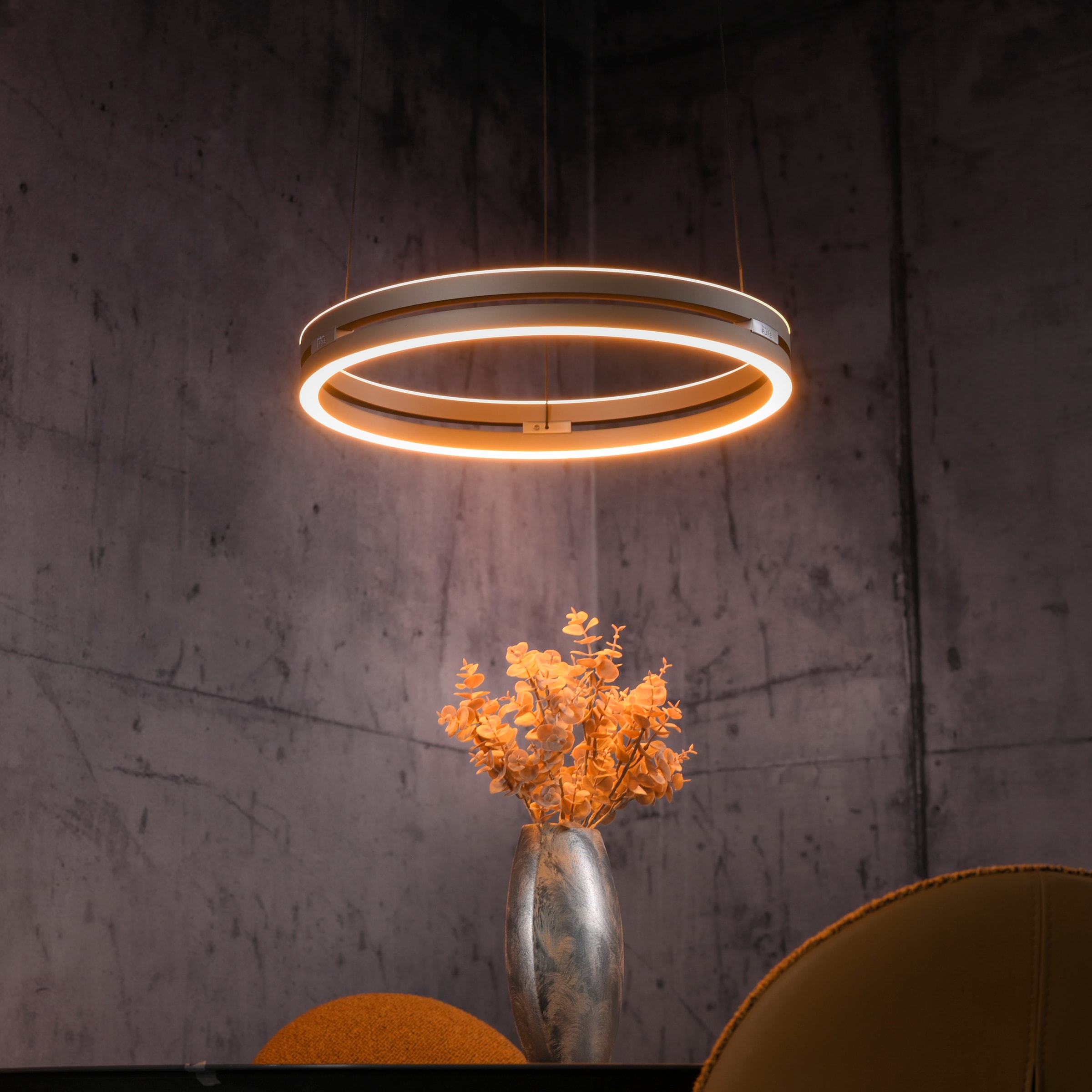 Neuhaus PURE LED Pendelleuchte »PURE E-Loop« LED-Board 1 Stk. warmweiß - kaltweiß e-LIFT® Funktion, CCT, dimmbar über Fernbedienung